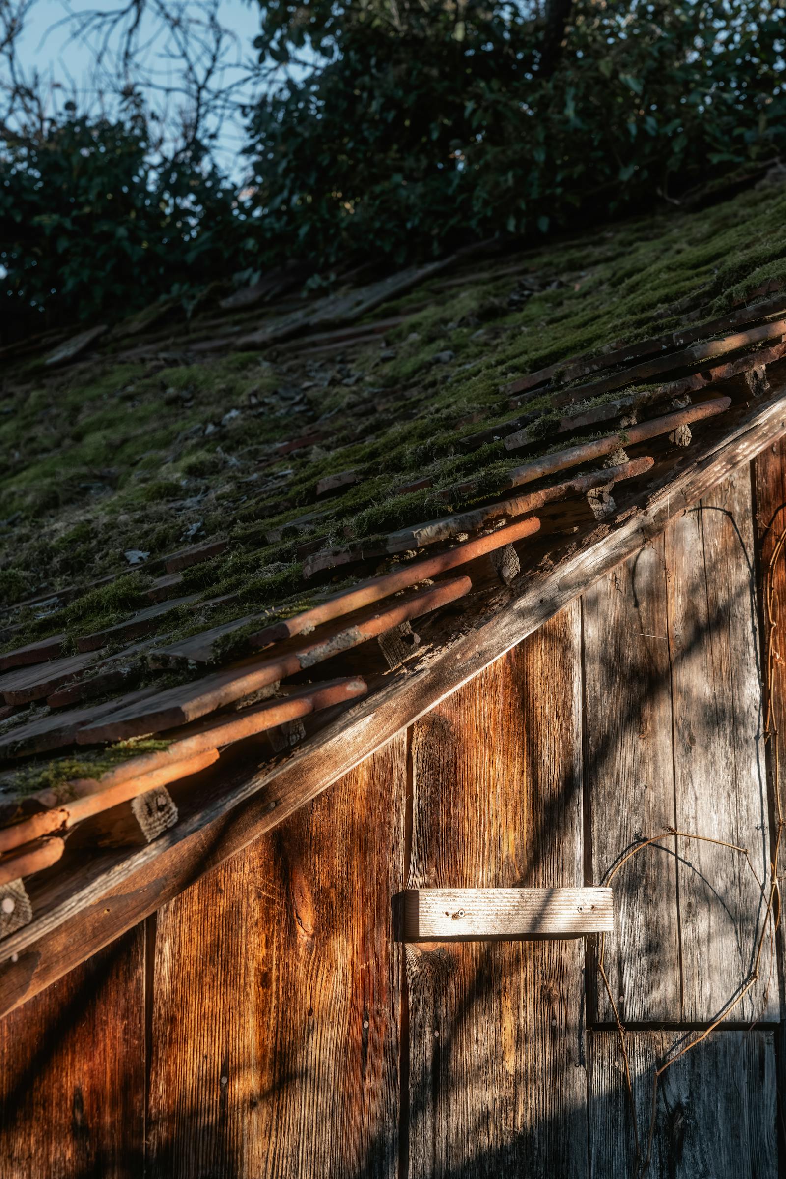 Rustic Roof Charm in Frohnleiten Austria