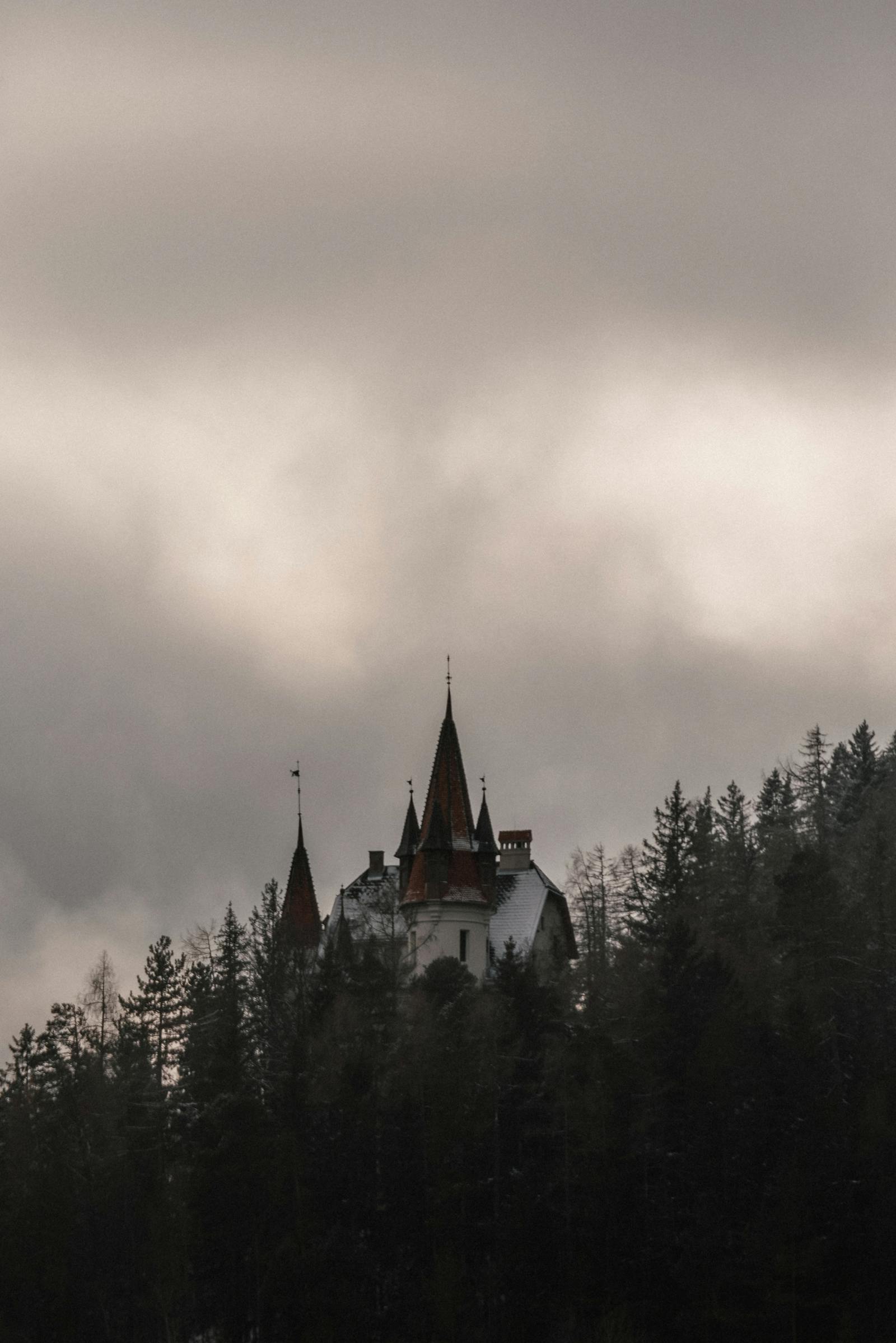 A castle shrouded in mist, surrounded by dense forest under a moody winter sky.