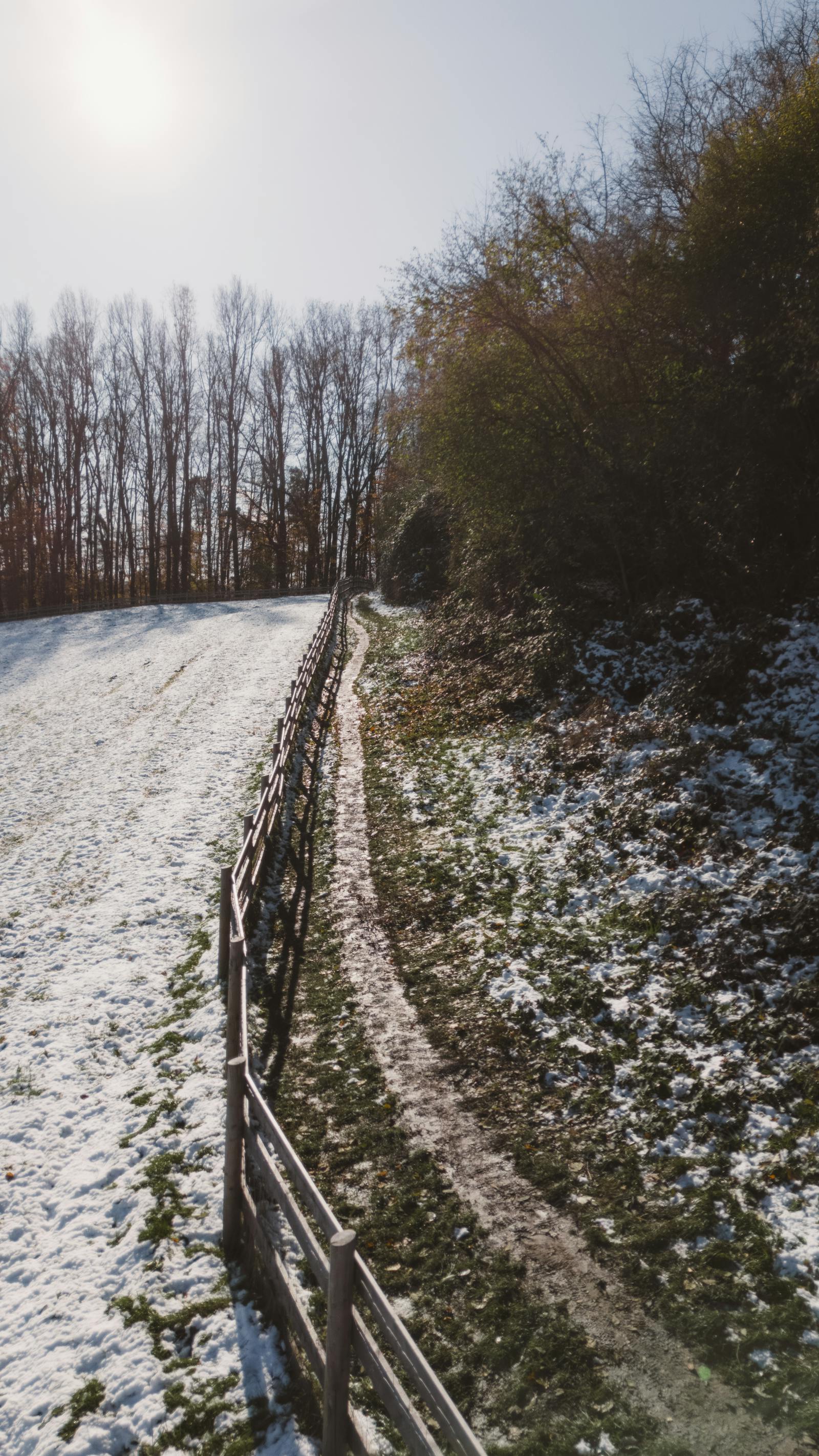 Snow-dusted woodland path under winter sun in Graz, Austria.