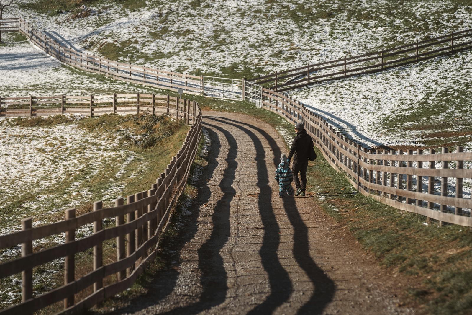 A serene winter walk on a snowy rural path in Graz, Austria.