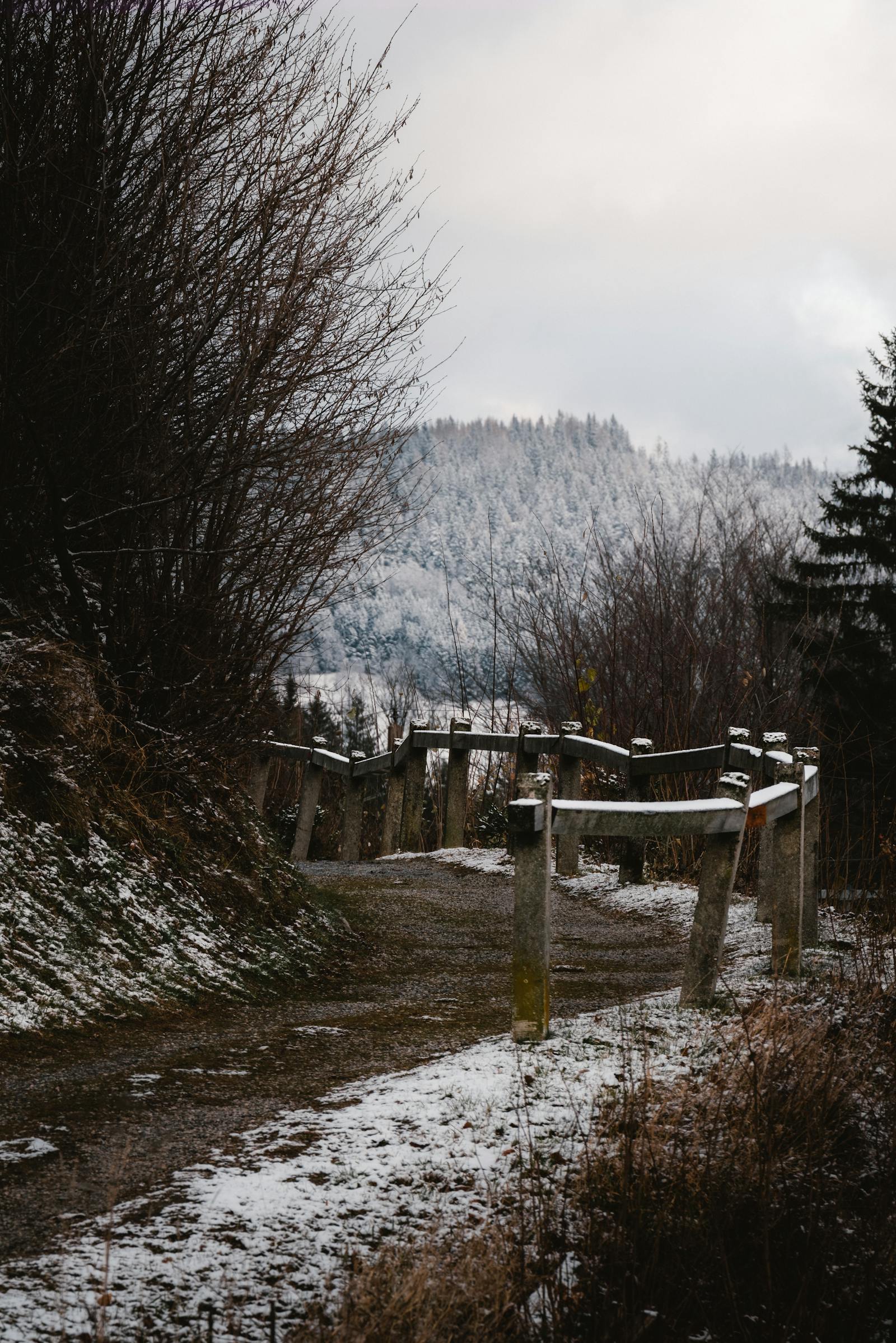 Snow-covered trail in a peaceful forest in Styria, Austria during wintertime.