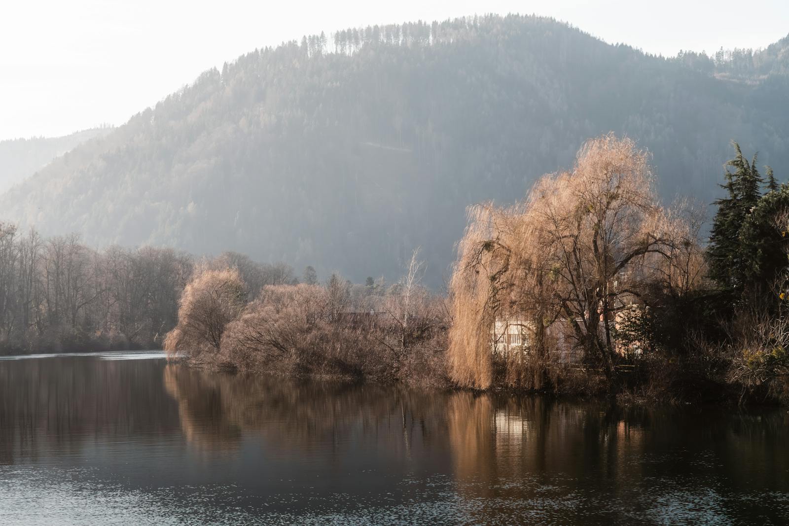 Serene Lakeside Morning in Frohnleiten Austria