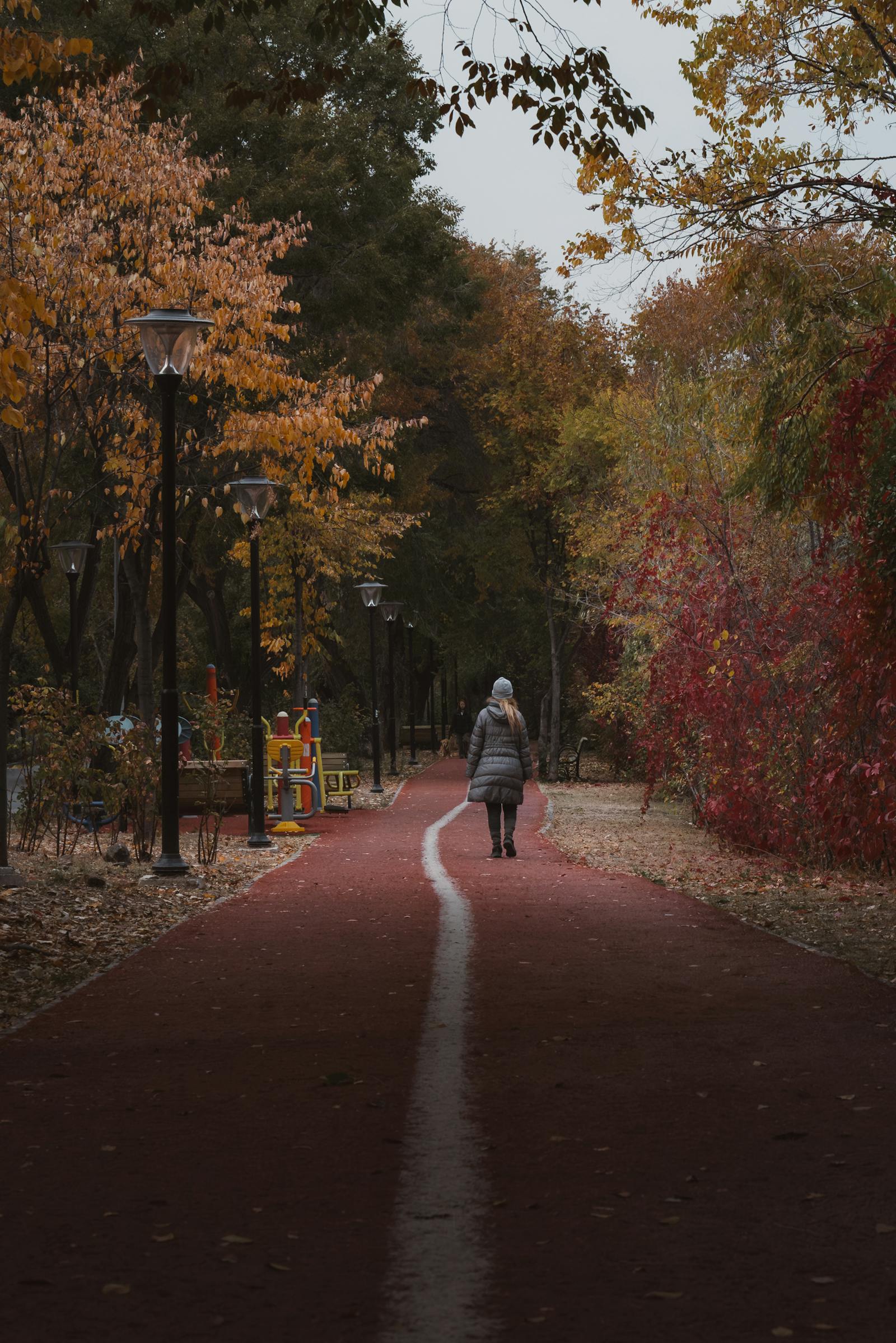 A peaceful autumn path in Ankara, Turkey, with vibrant foliage and a solitary walker.