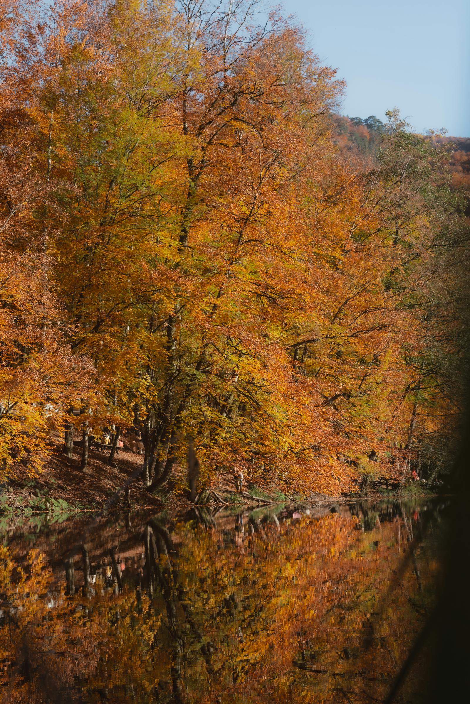 Tranquil autumn forest reflecting in a calm lake near Bolu, Türkiye.