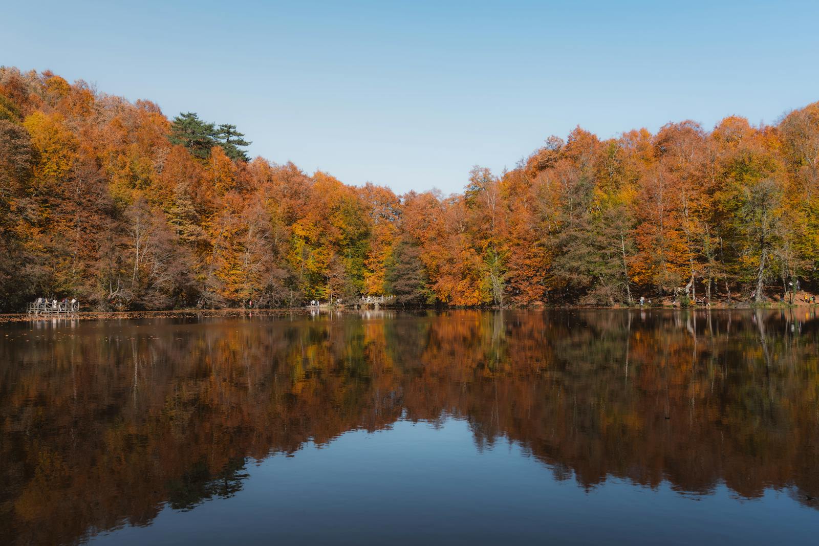 Serene autumn landscape with vibrant trees reflected in a tranquil lake in Bolu, Türkiye.