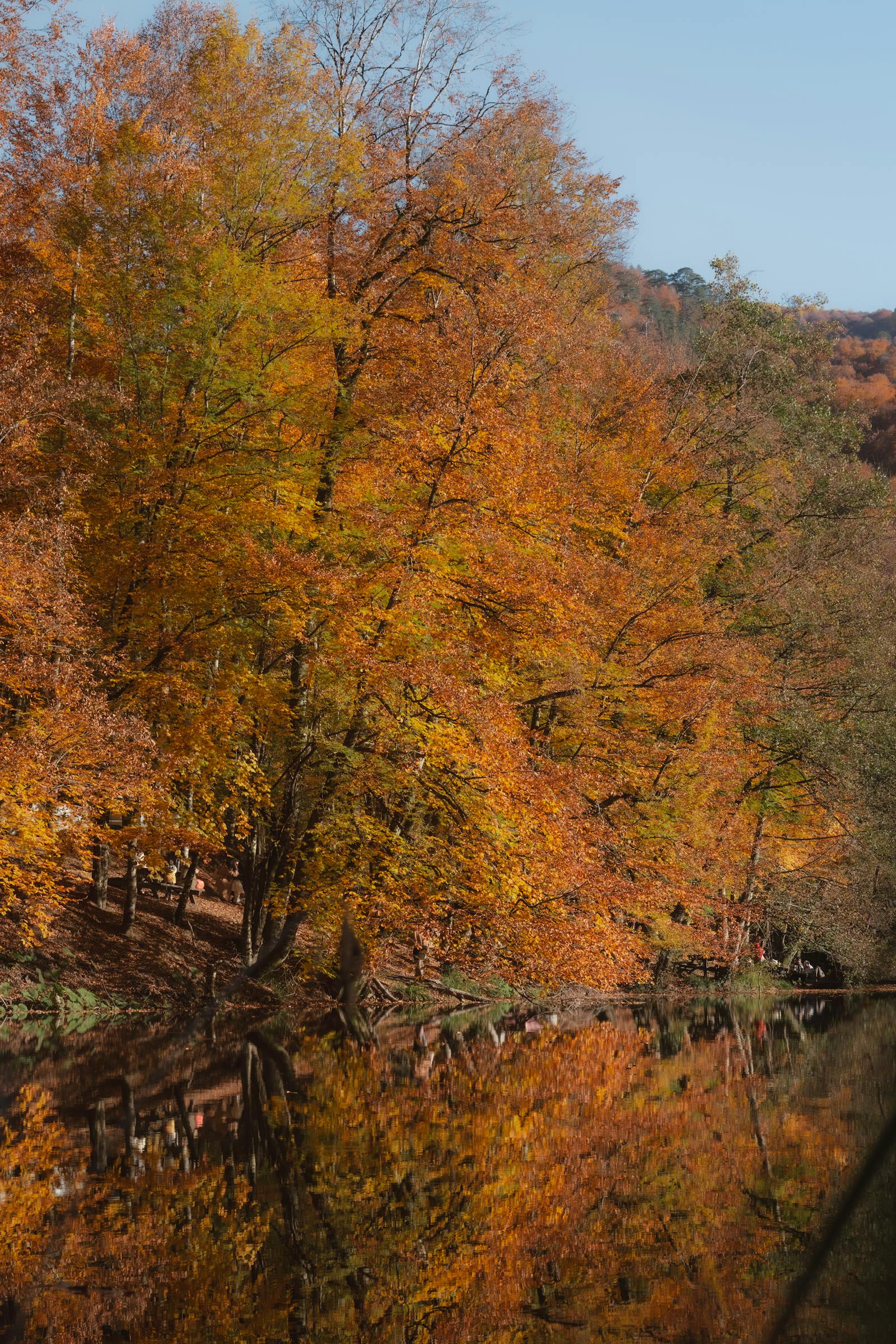 Stunning autumn foliage reflecting on a tranquil lake in Bolu, Türkiye, capturing vibrant seasonal colors.