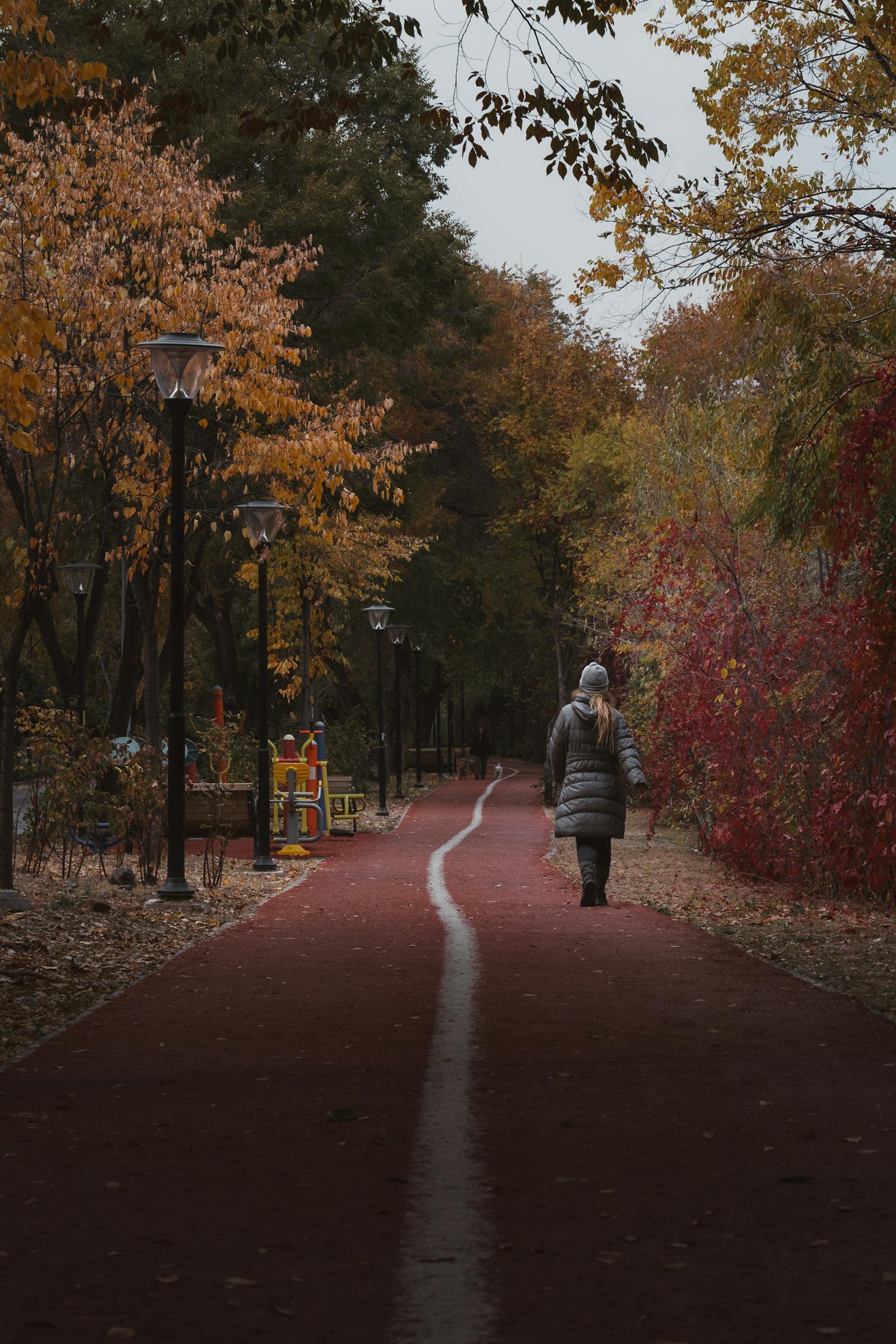 A peaceful walk along a tree-lined path during autumn in a park in Ankara, Türkiye.