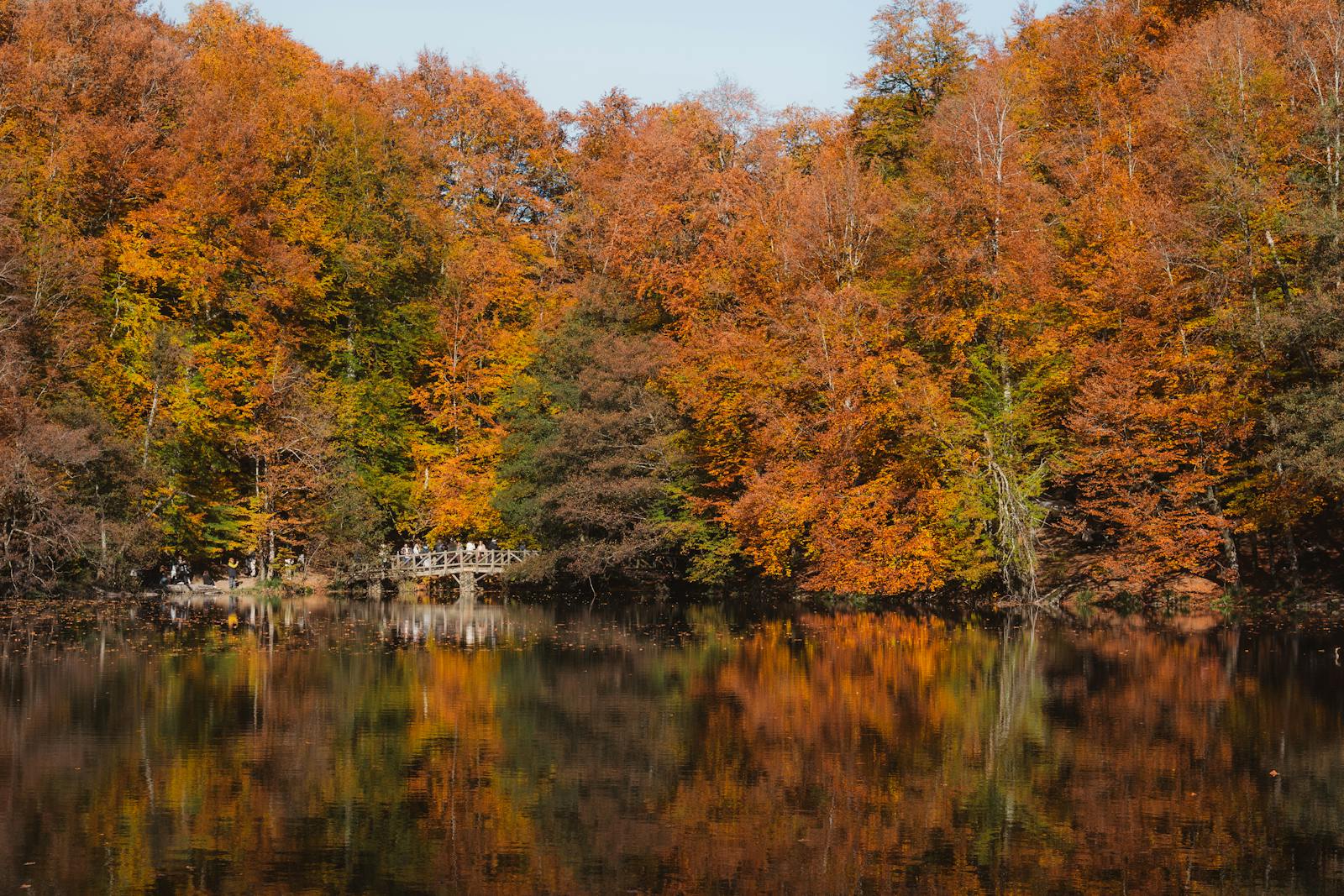 Vibrant fall foliage reflected in a serene lake in Yedigöller National Park, Türkiye.