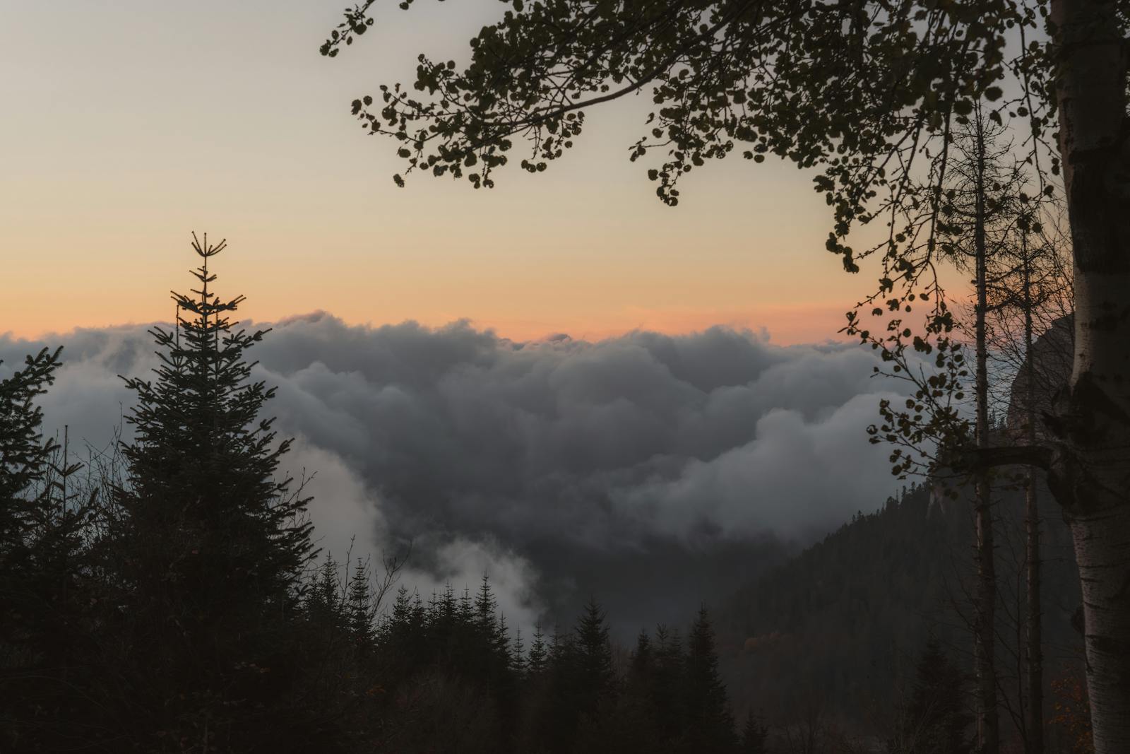 A tranquil mountain landscape at sunset with dense clouds and silhouetted trees.