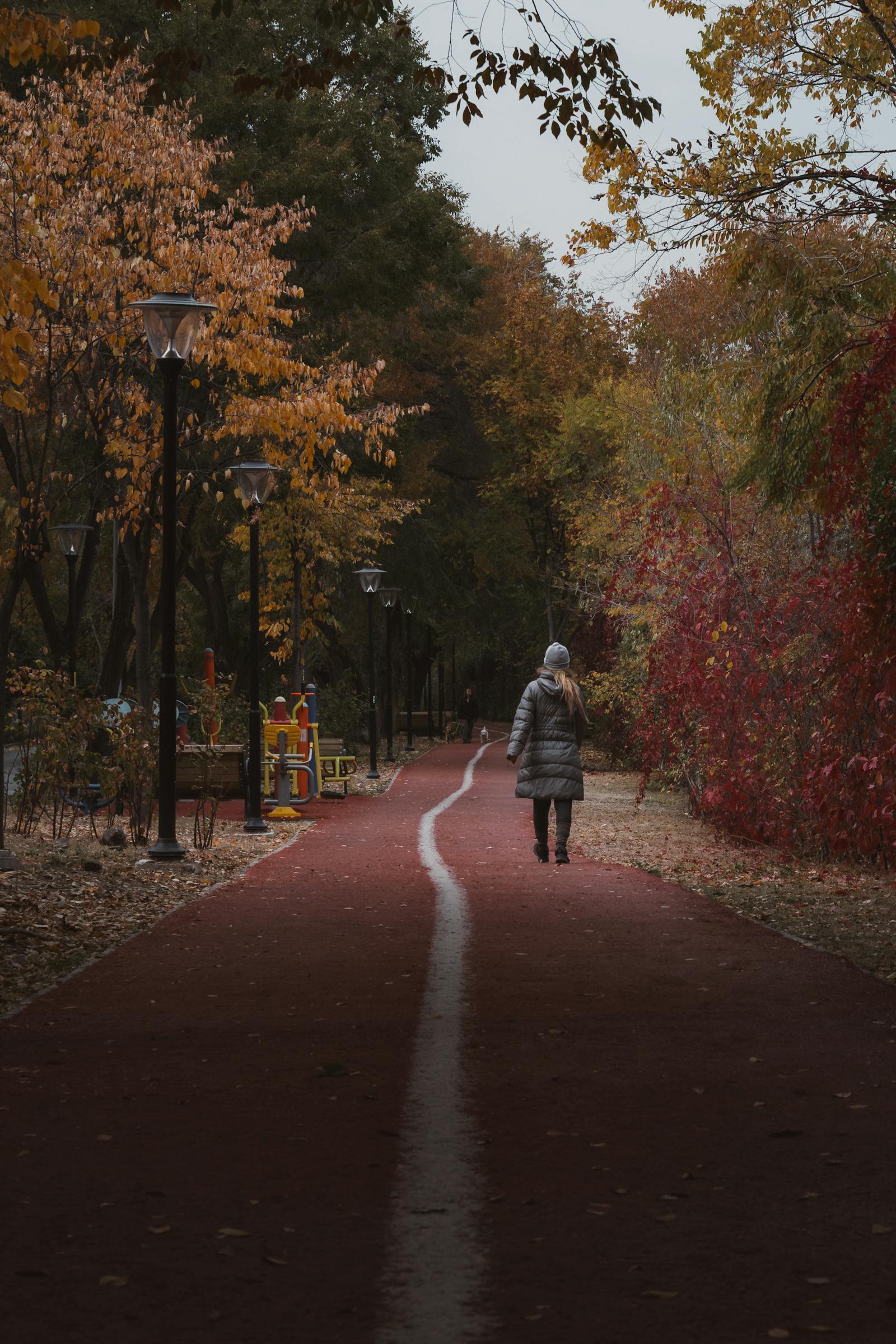 Enjoy a peaceful autumn walk through vibrant foliage in Bolu, Turkey.