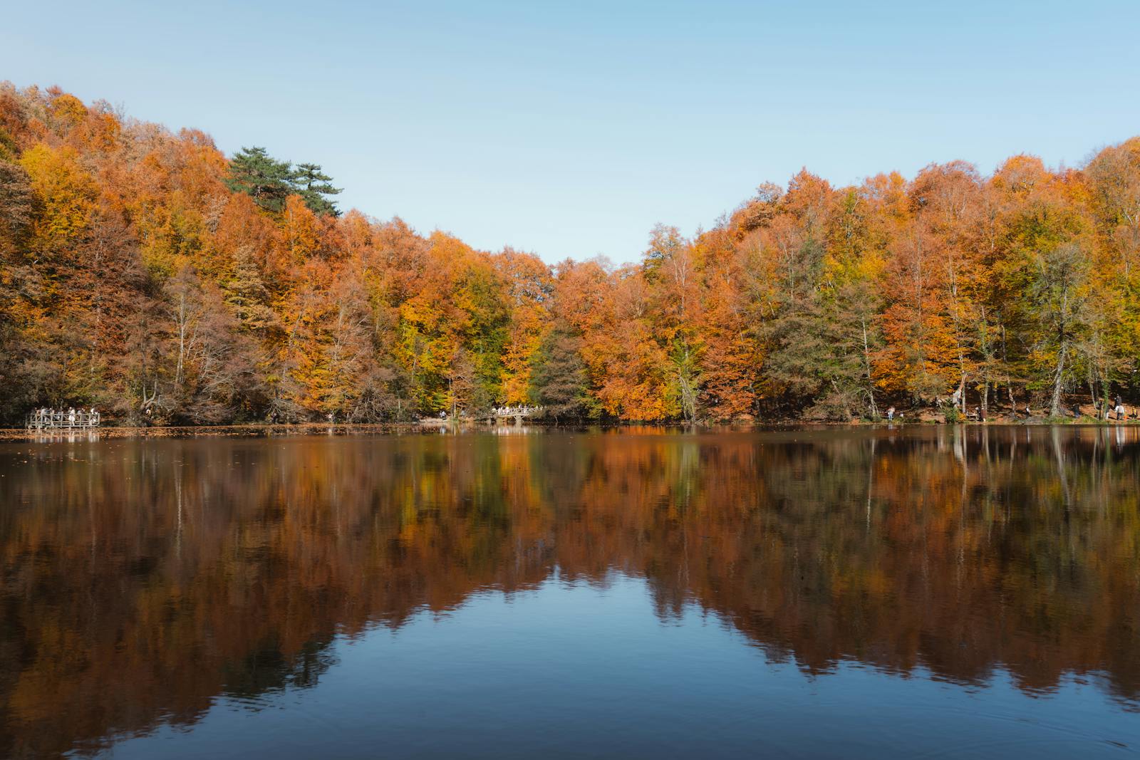 Beautiful autumn scenery at Yedigöller National Park with vibrant fall foliage reflecting in the lake.