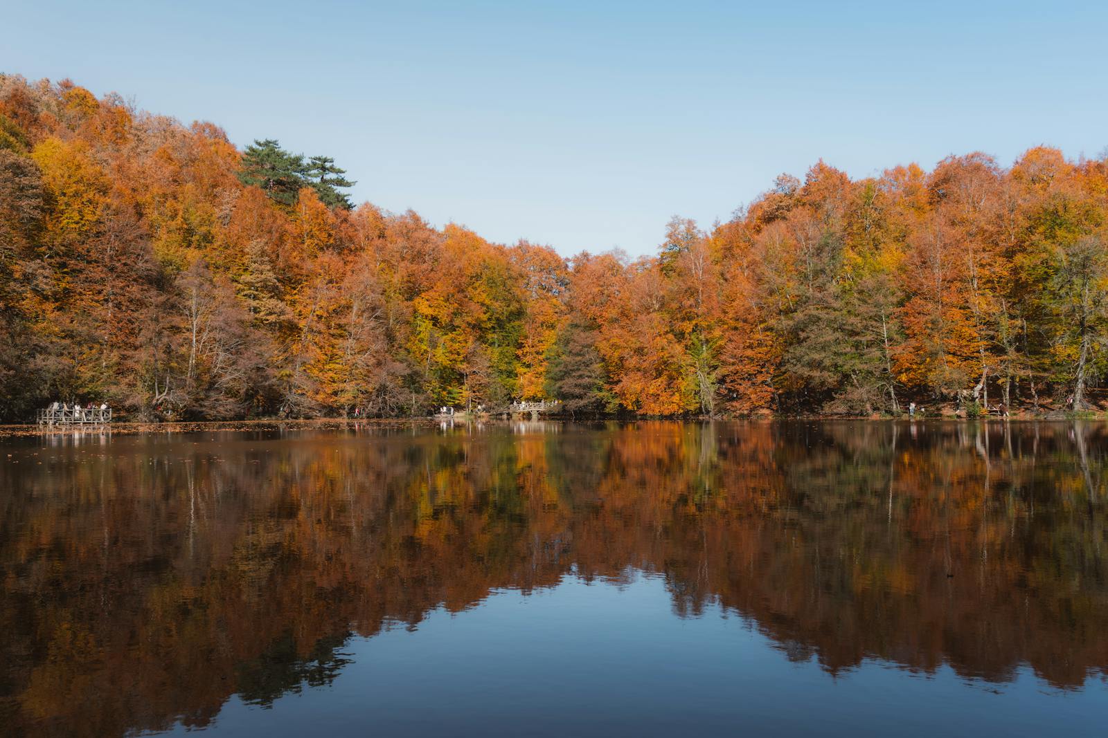 Captivating autumn scenery with vibrant foliage reflected in a tranquil lake at Yedigöller National Park, Türkiye.