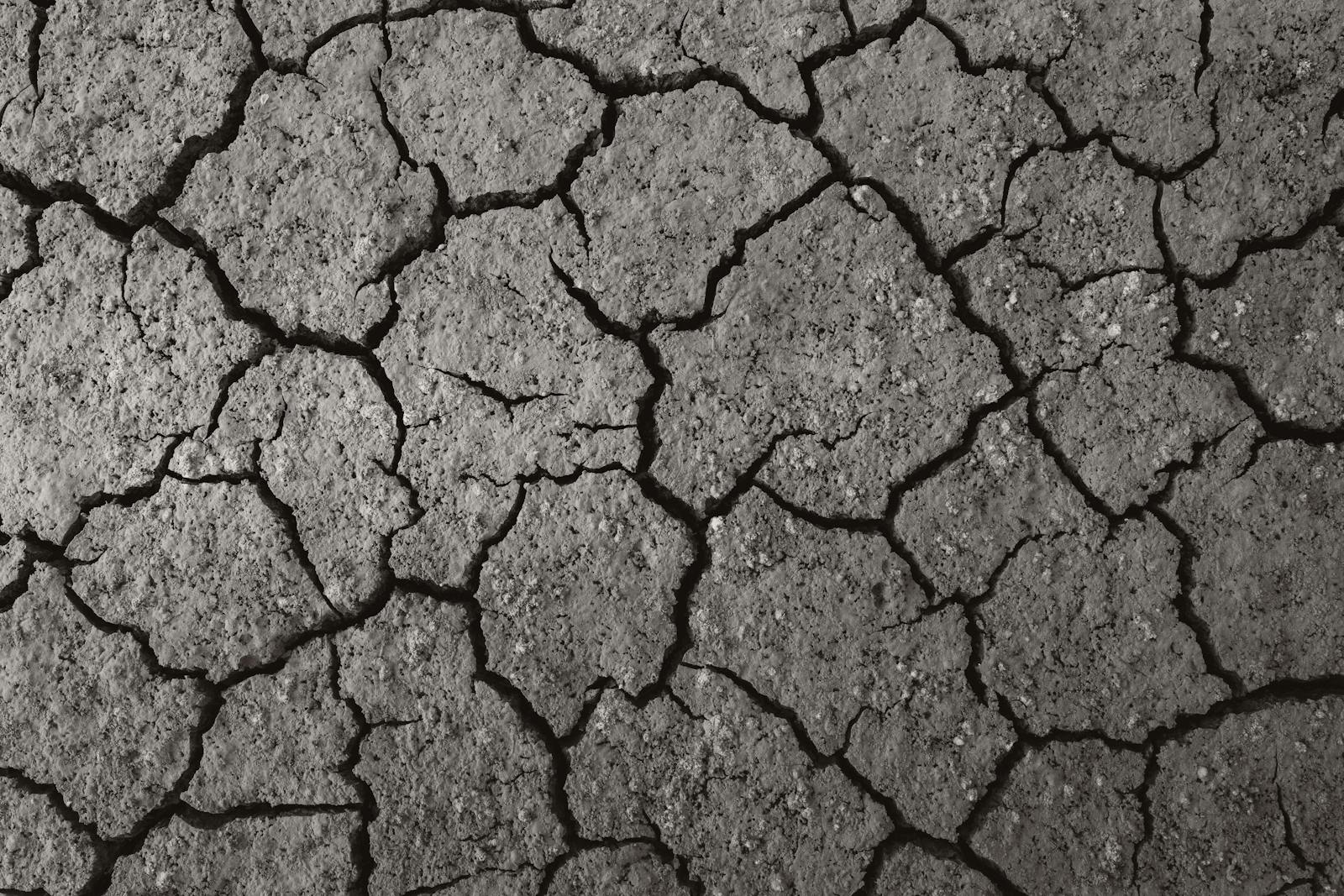 Detailed image of cracked, arid soil showcasing drought effects in Ankara, Türkiye.