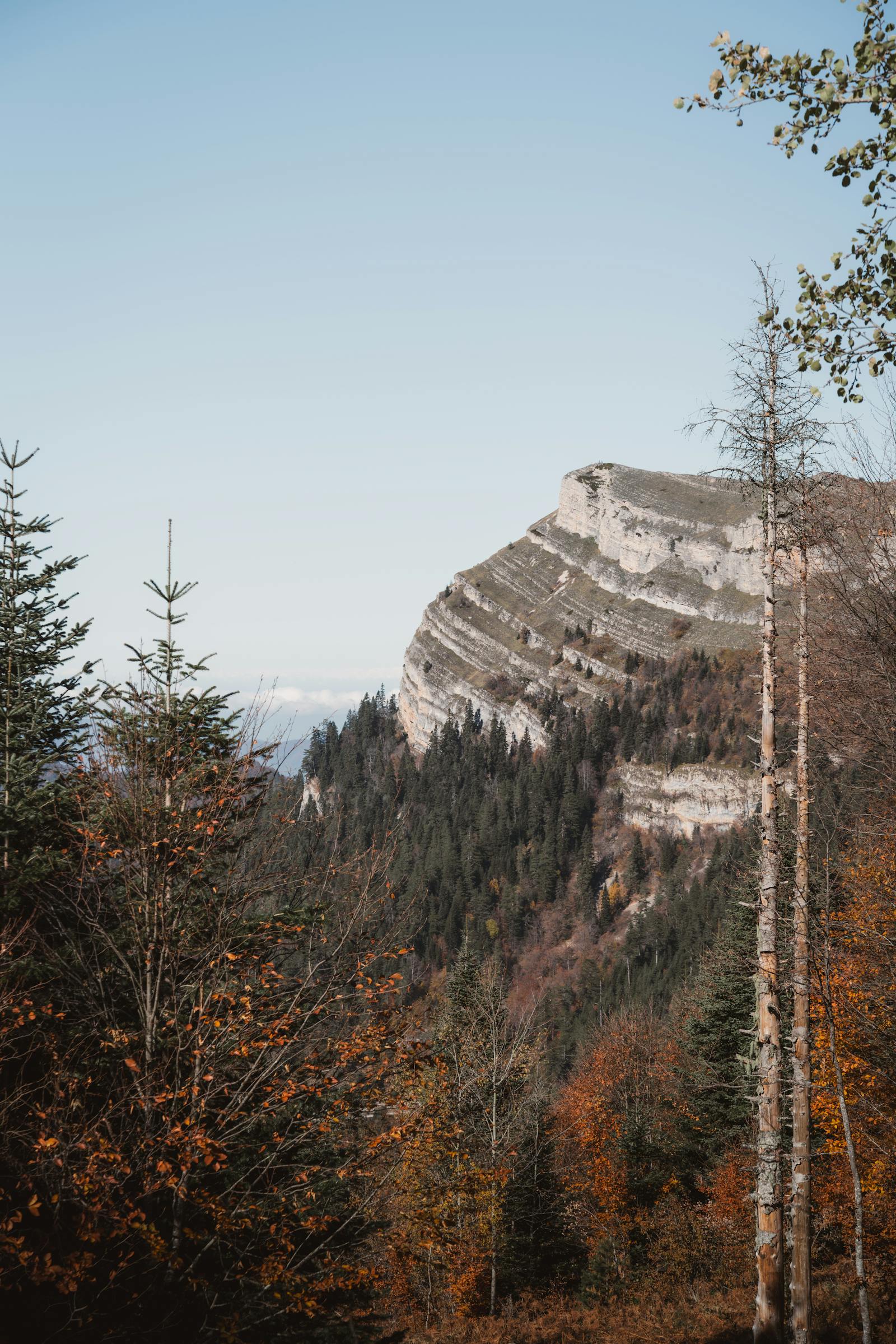 Explore the serene beauty of autumn in Altıparmak Mountains, Bolu, Türkiye.