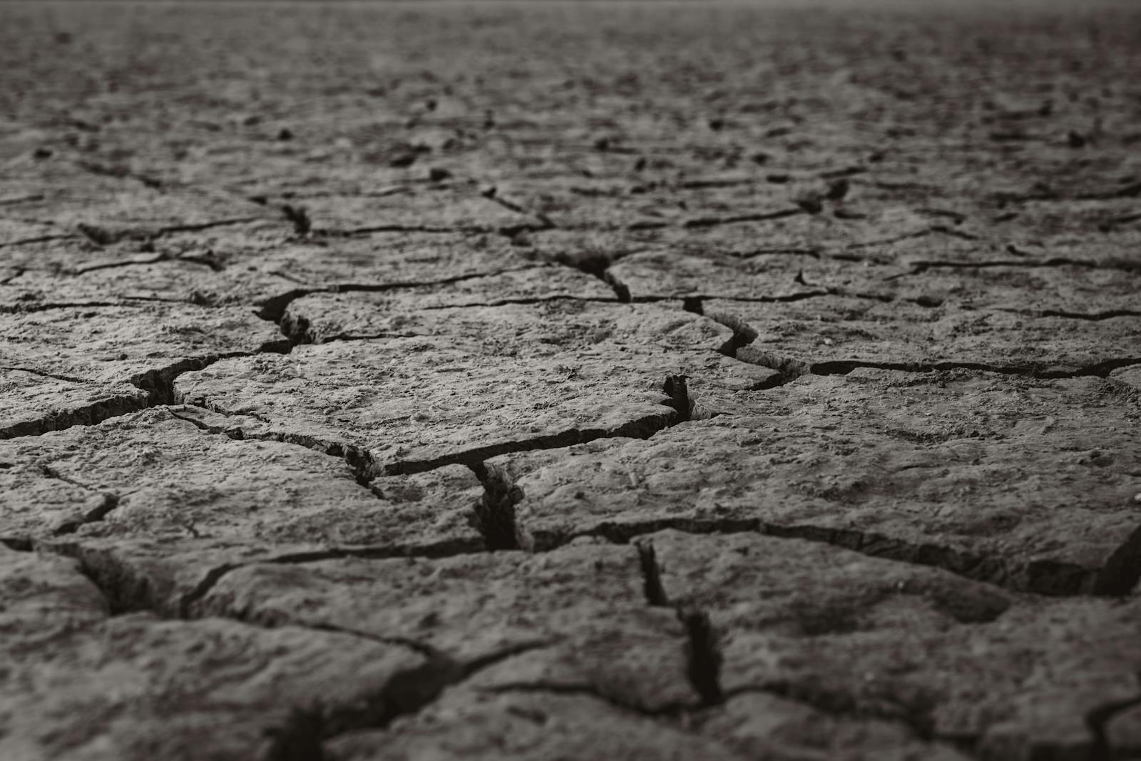 A detailed texture of cracked and parched earth, symbolizing drought and dryness in Ankara, Türkiye.