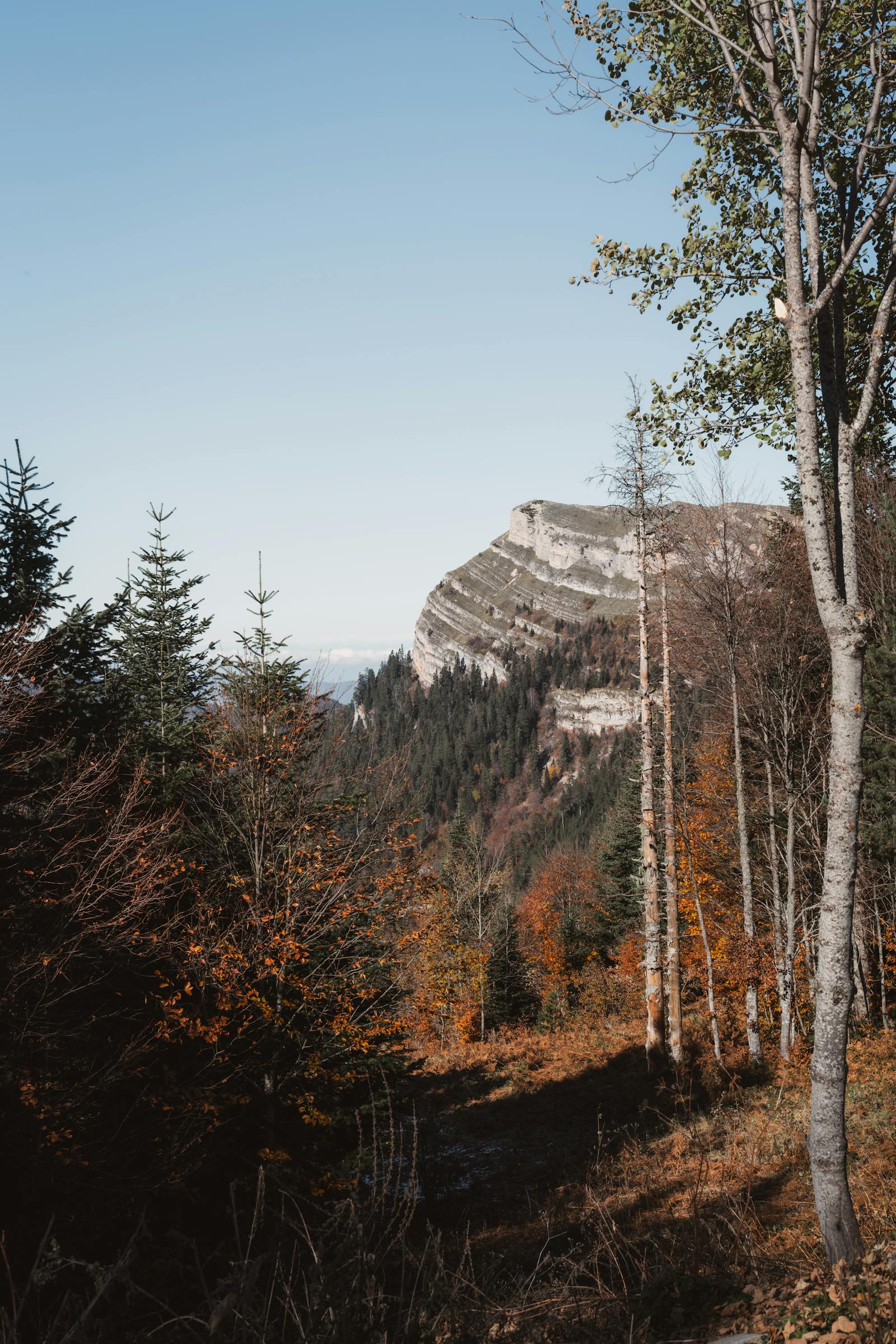 Explore the serene beauty of Bolu's autumn landscape with majestic mountains and vibrant foliage.