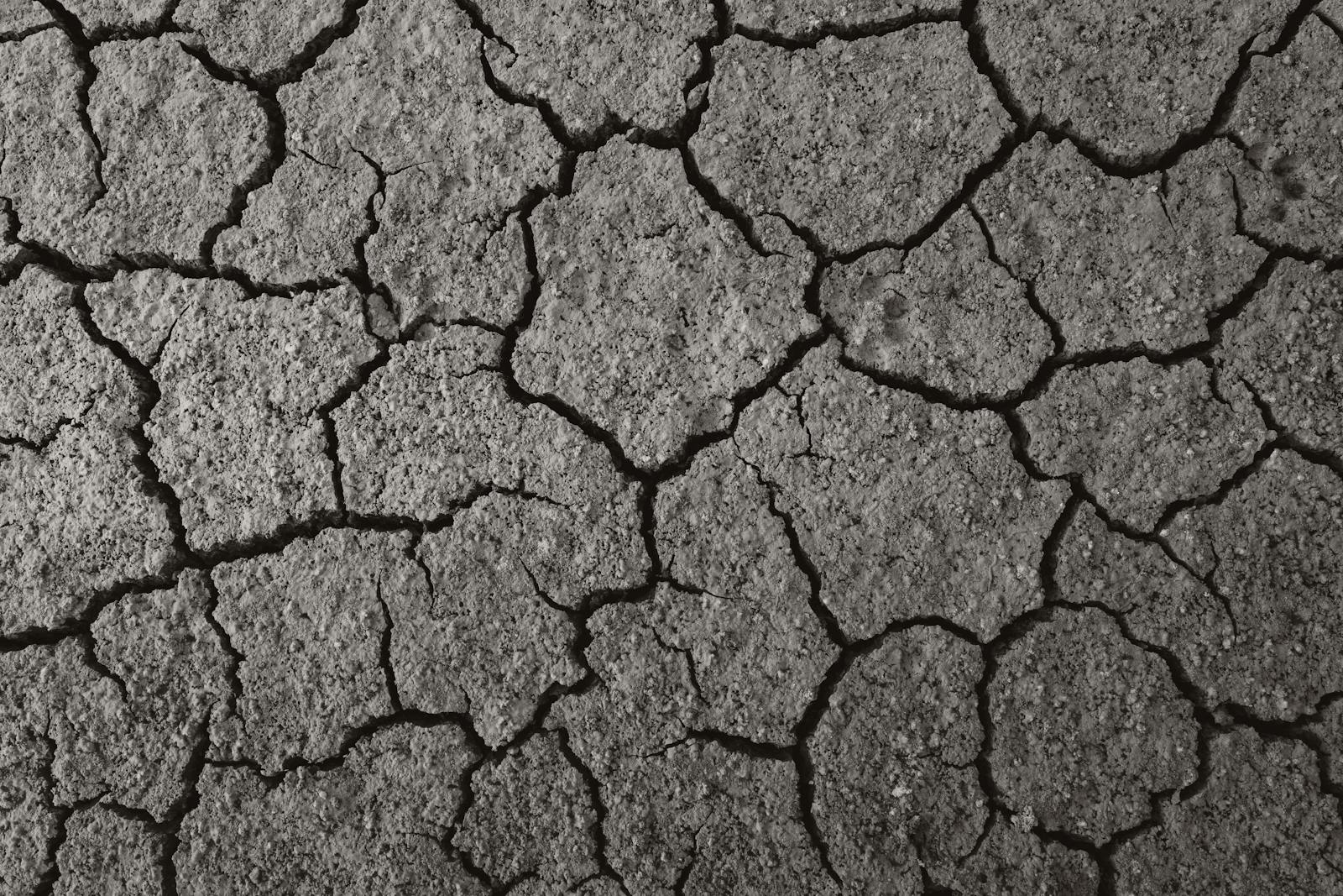 Close-up view of cracked arid ground texture, symbolizing drought and environmental change.