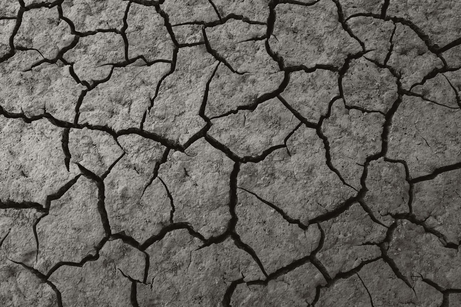 Detailed close-up of cracked, dry earth texture in Ankara, Turkey.