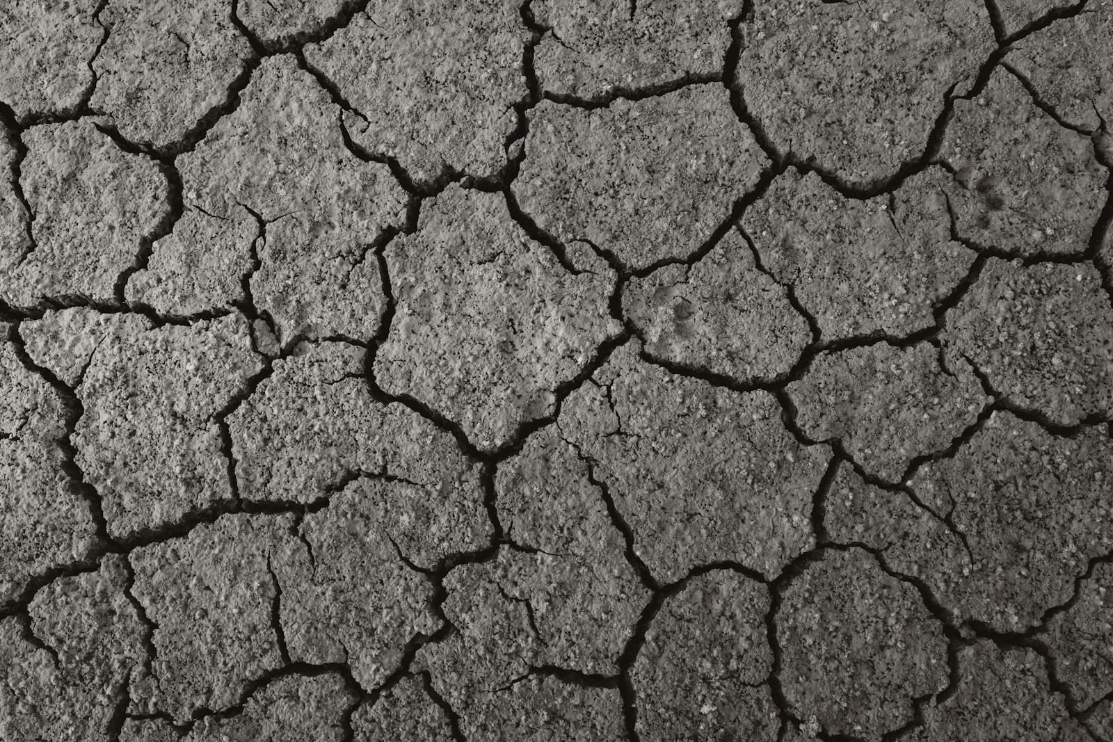 Close-up of cracked and dry earth surface, showcasing texture in Ankara.