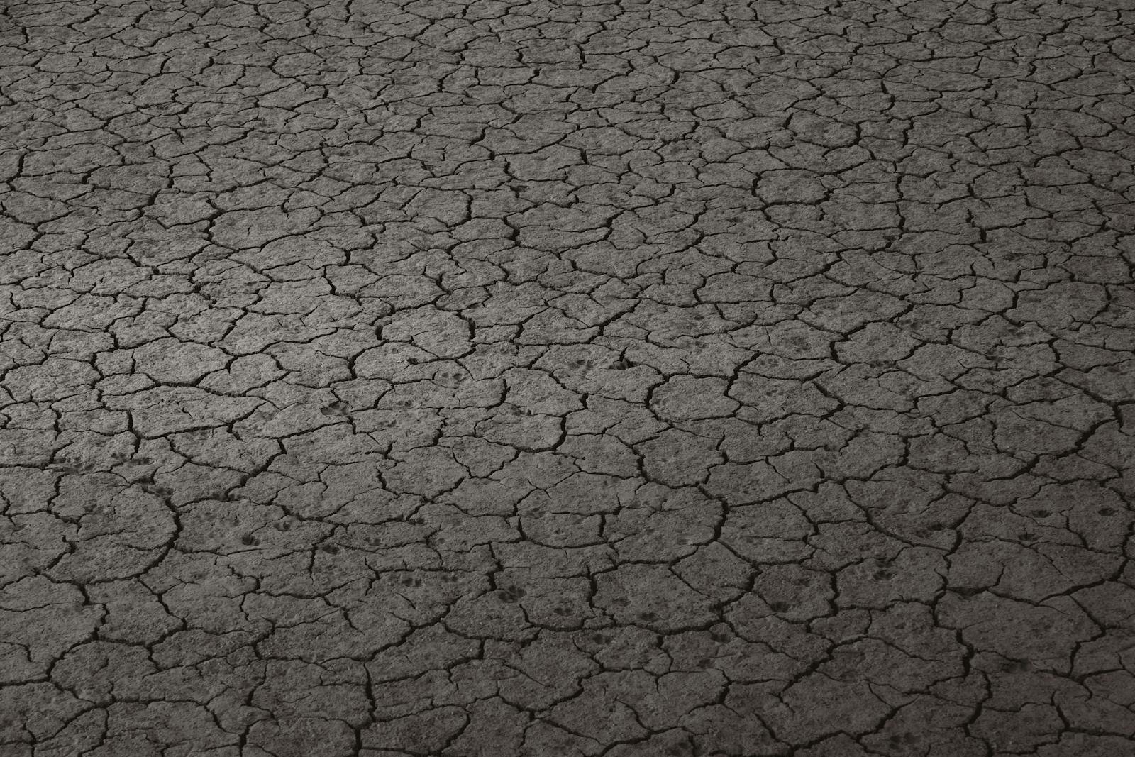 Detailed view of cracked dry earth texture showcasing the arid environment in Ankara, Türkiye.