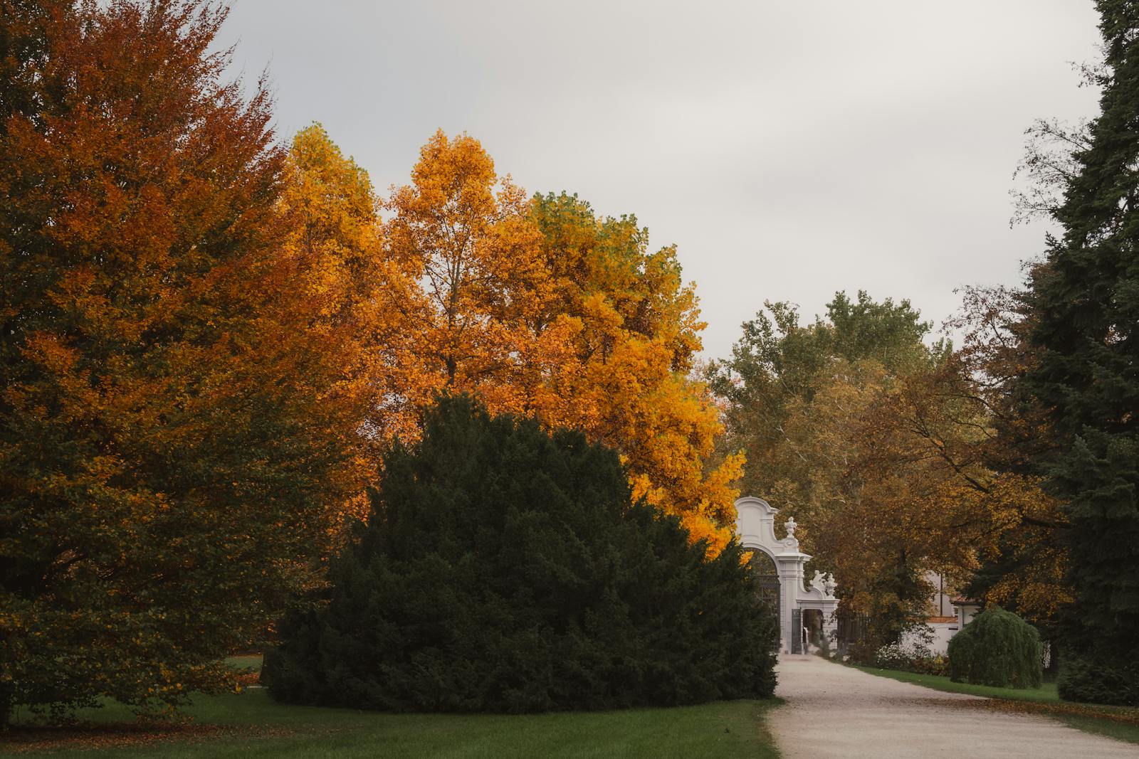 Discover a tranquil autumn park with vibrant foliage and a charming gateway.