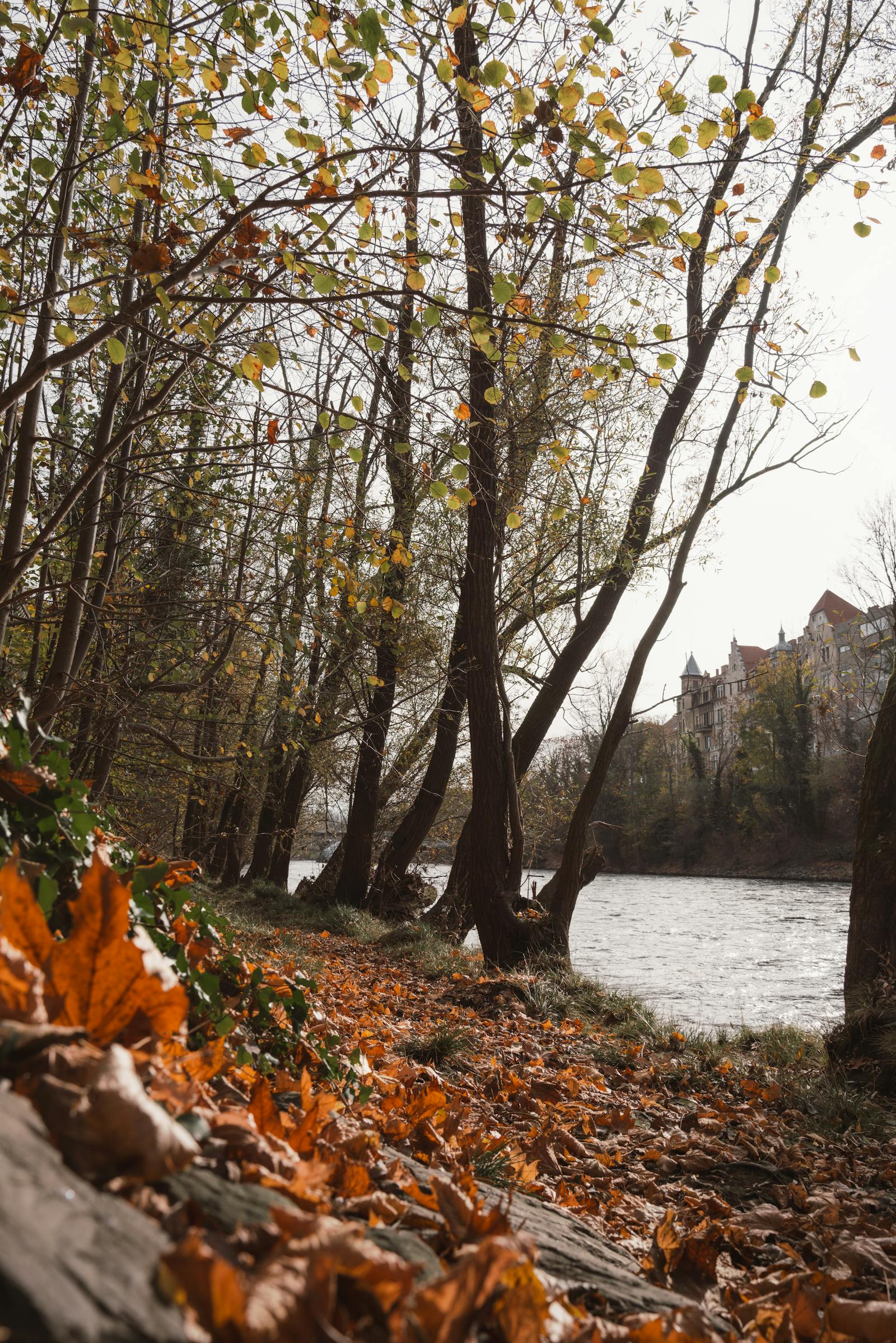 Experience the serene beauty of an autumn riverbank in Graz, Austria, framed by vibrant foliage.