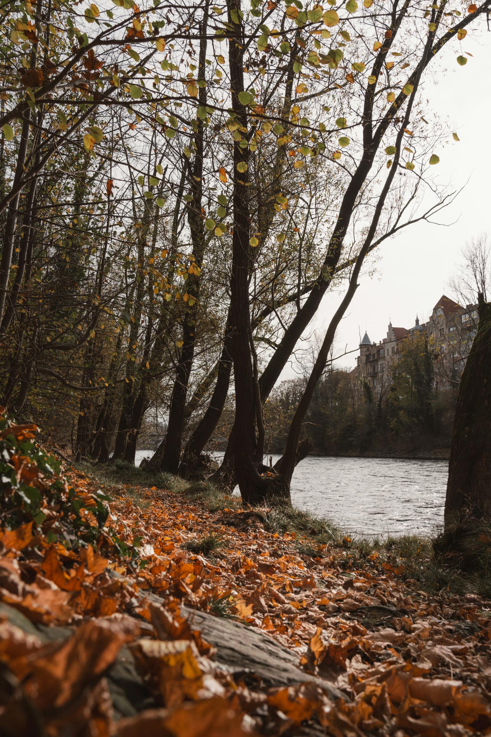 Explore the serene autumn atmosphere of a riverside scene in Graz, Austria with vibrant foliage.