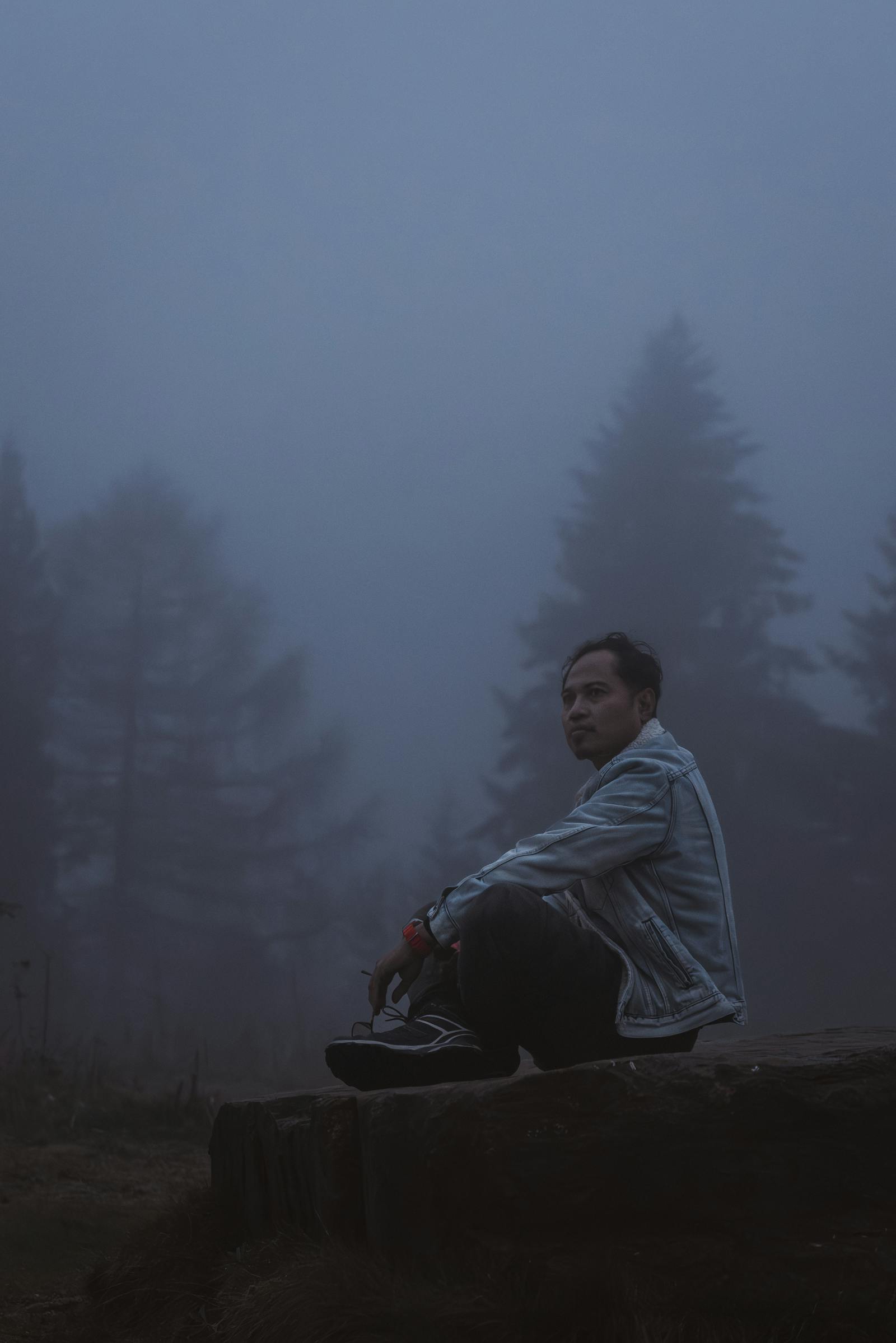 A person sits in contemplation amid foggy woods, evoking solitude and tranquility.