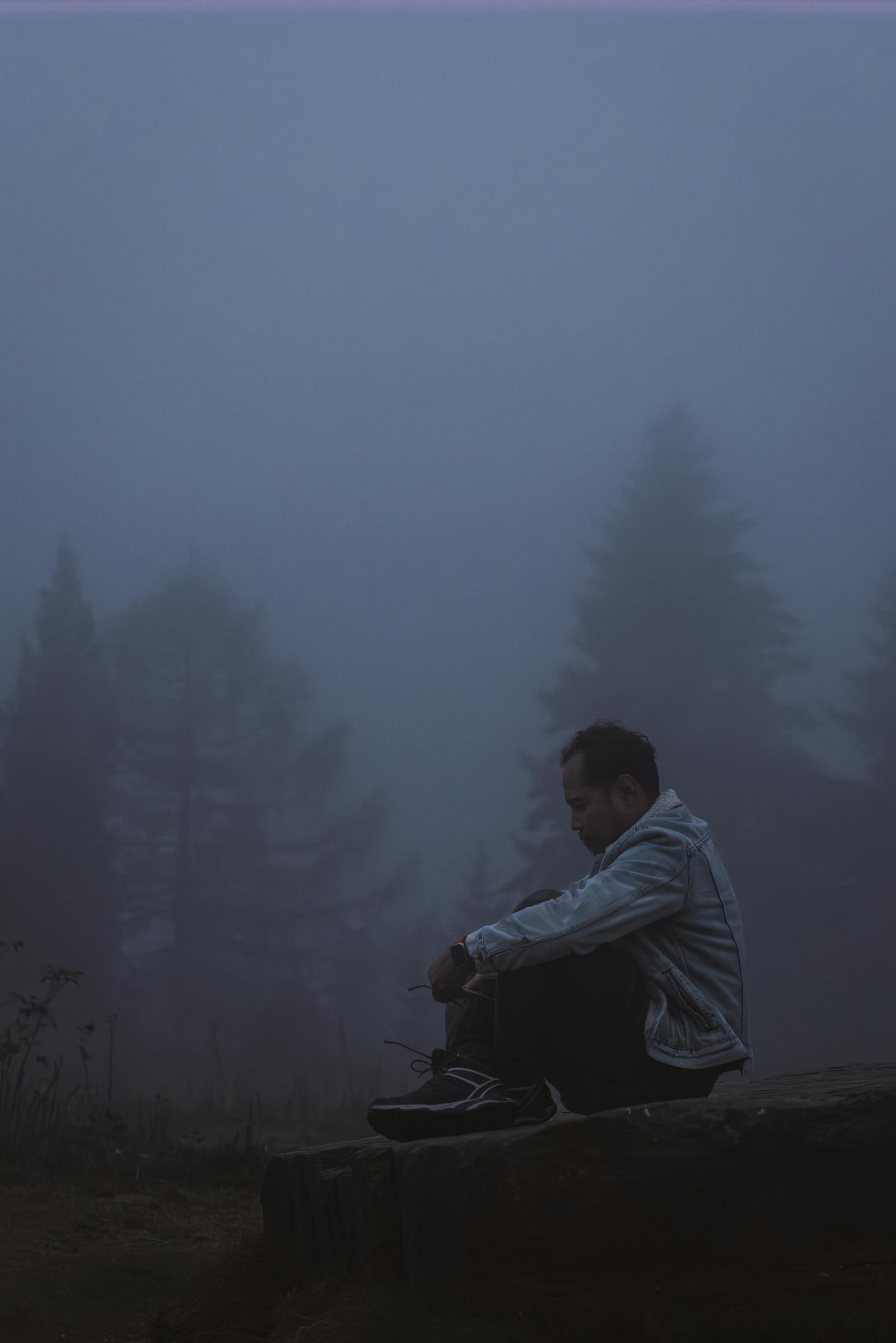 A person sits in solitude amidst misty trees in Austria, capturing a serene, introspective moment.