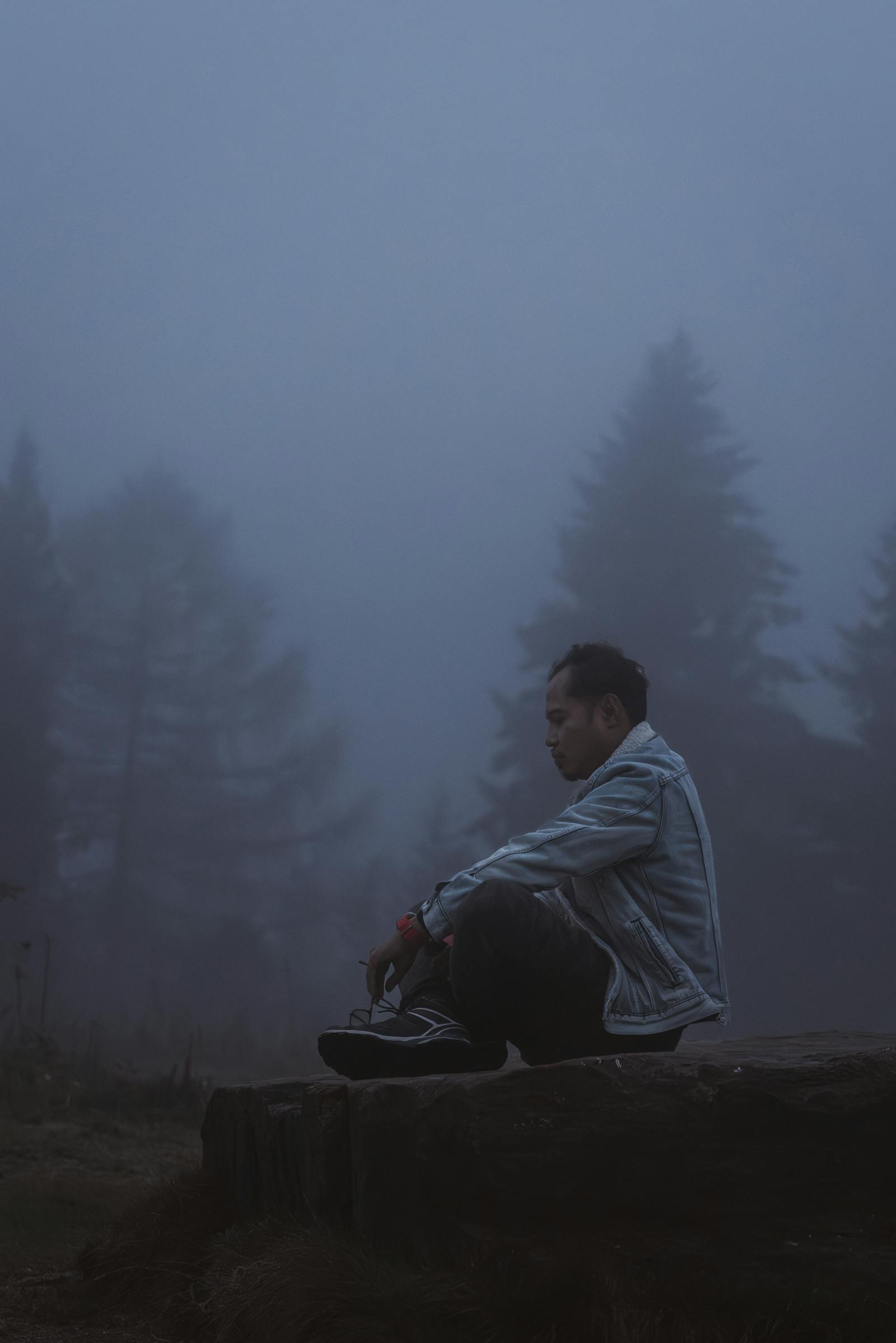 Individual sitting on rock amidst misty forest, Styria, Austria.