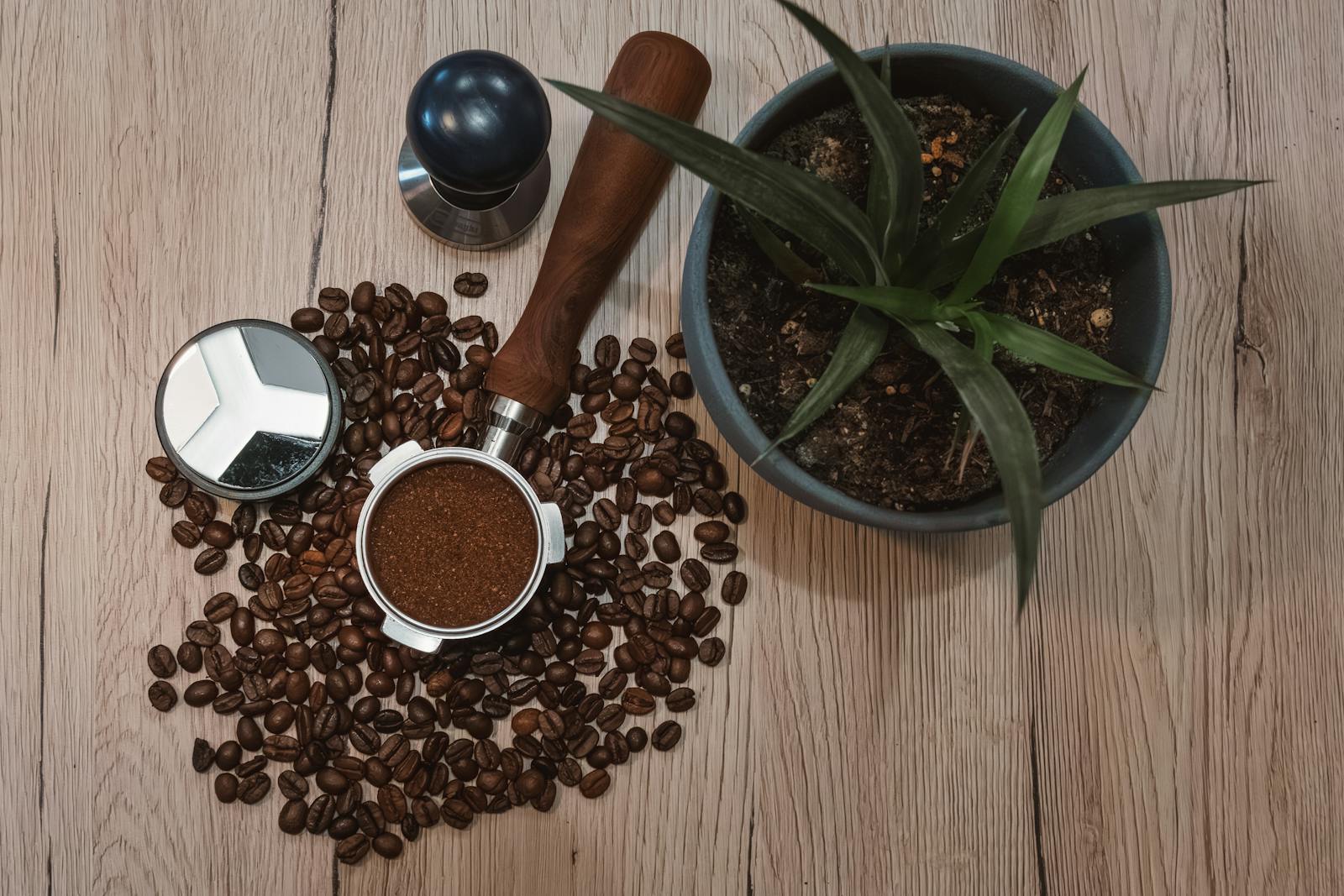 A top-down view of artisan coffee tools and coffee beans on a wooden surface, featuring a grinder and a plant.