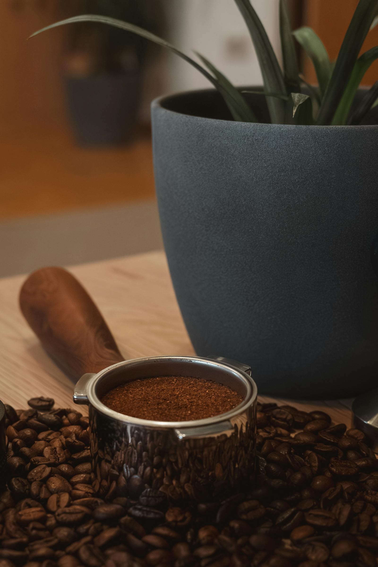 A display of artisanal coffee preparation featuring a portafilter, coffee beans, and a potted plant, creating a cozy vibe.