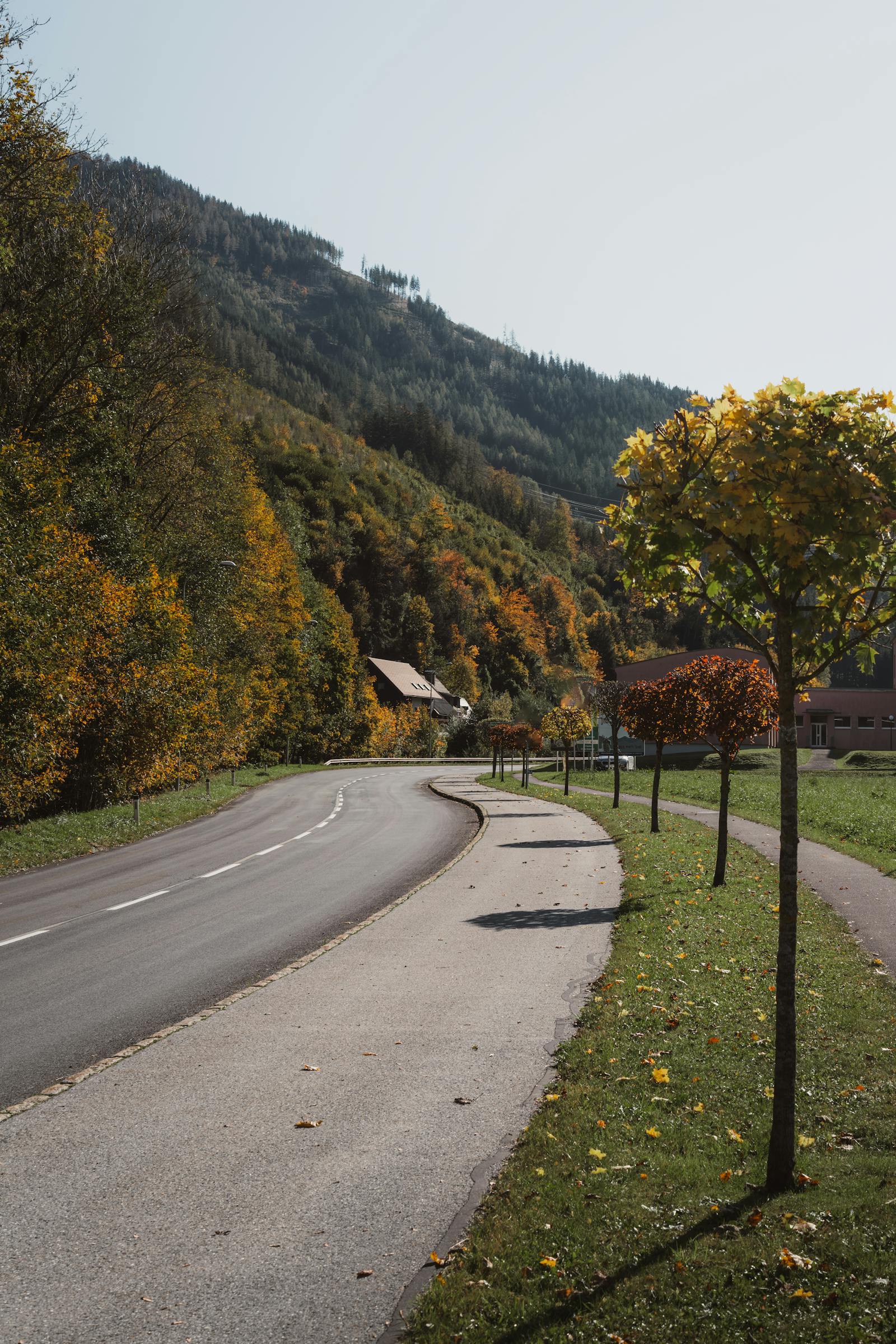 A picturesque rural road winding through autumn foliage in Eisenerz, Austria.