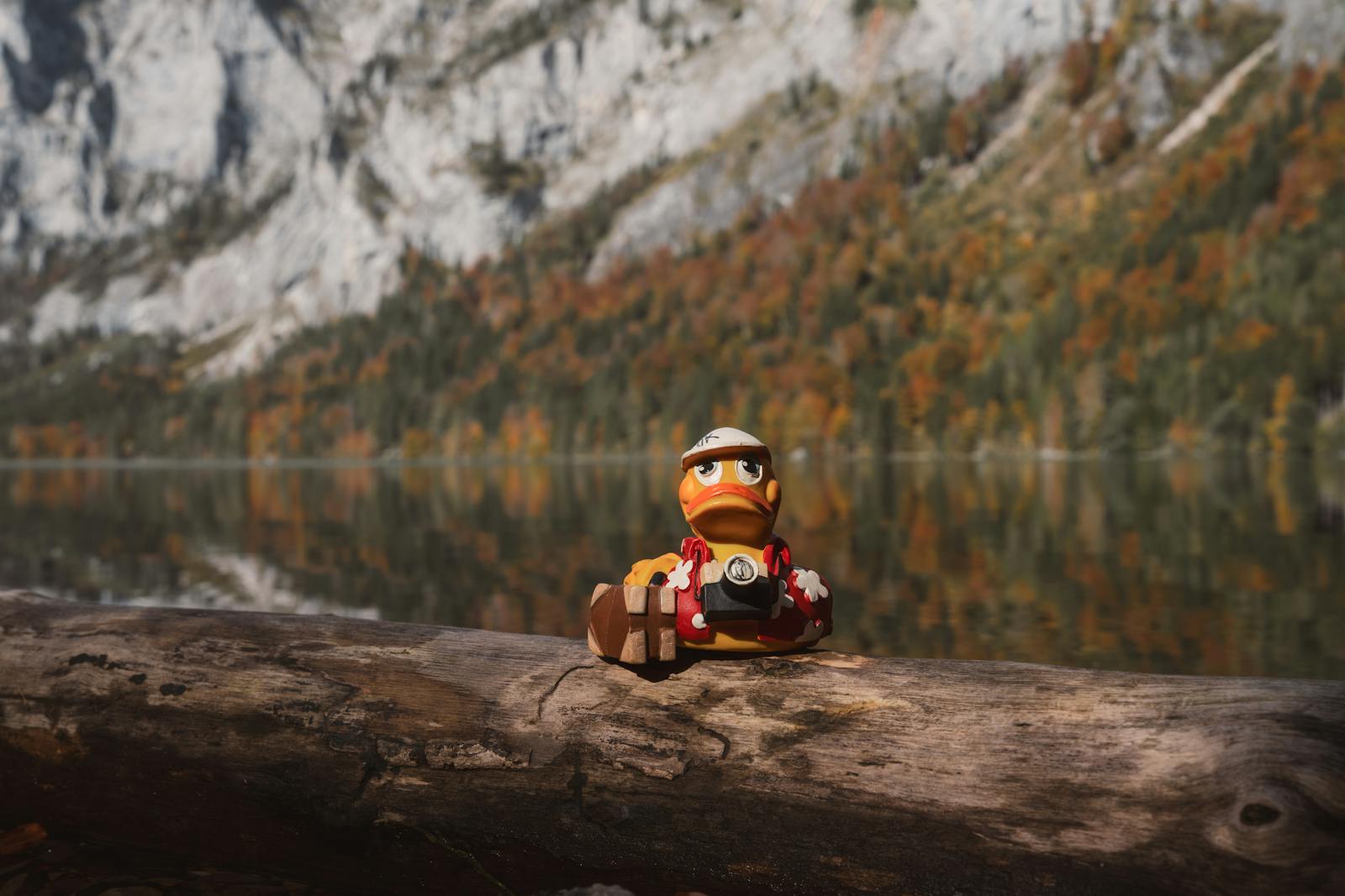 A duck toy with a camera sits on a log with a mountain backdrop in autumn.