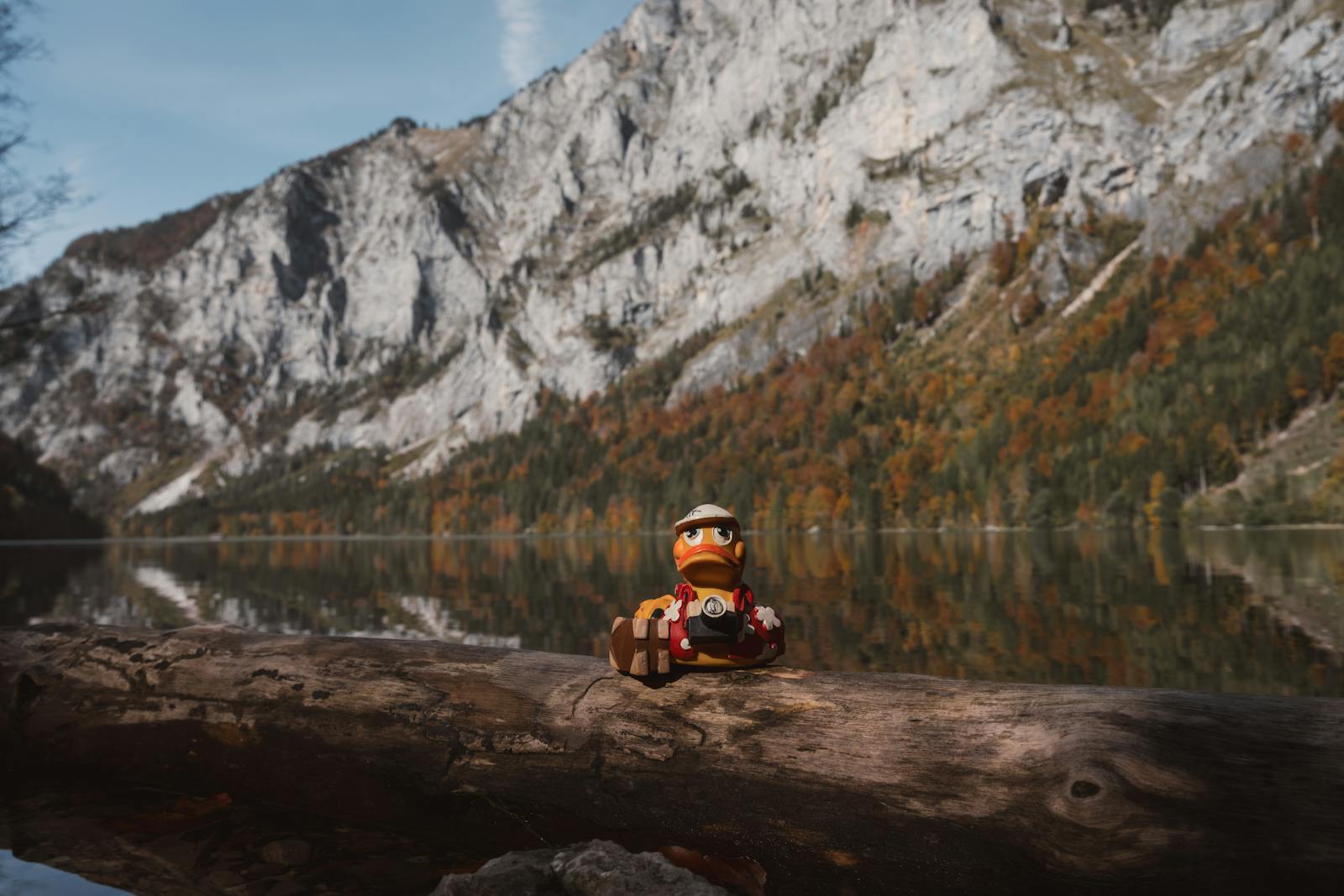 A toy duck with a camera poses on a log against stunning autumn mountains in Eisenerz, Austria.