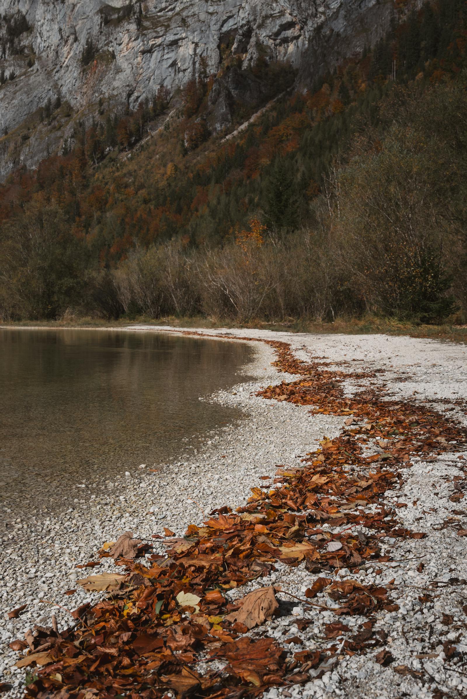 Peaceful autumn scene of a quiet lake shore amidst mountain landscapes in Eisenerz, Austria.