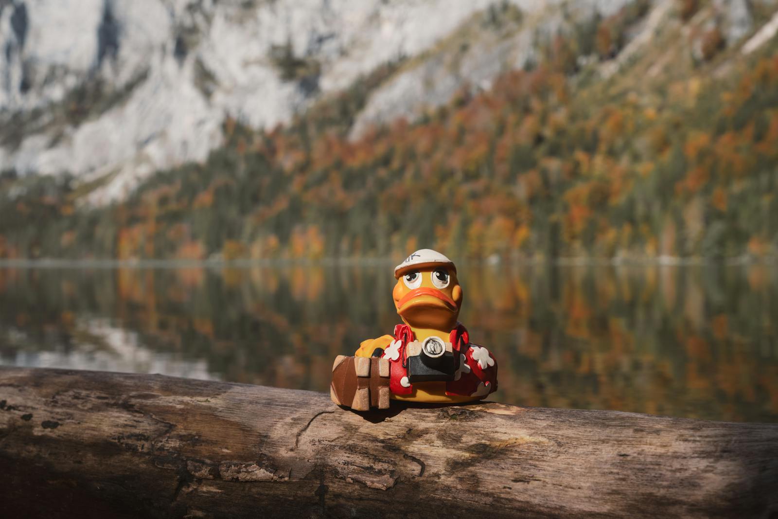 An adventurous duck toy with a camera by a serene Austrian lake, reflecting vibrant autumn colors.