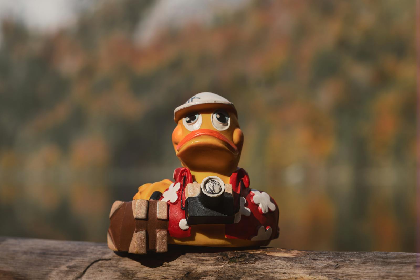 A playful duck toy with a camera rests on a wooden ledge against a beautiful autumn background.