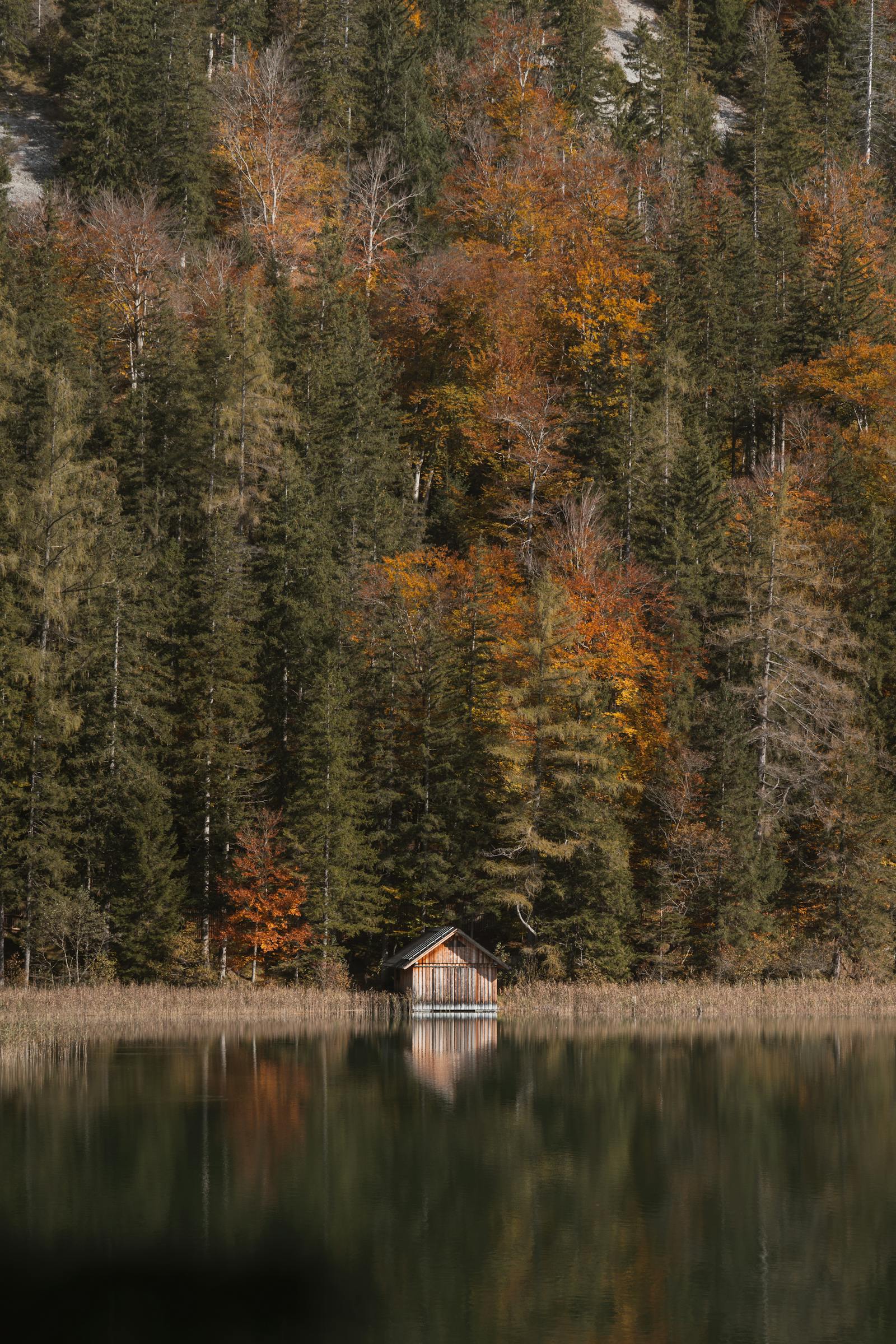 Rustic cabin nestled by the serene lake amidst vibrant autumn foliage in Austria.