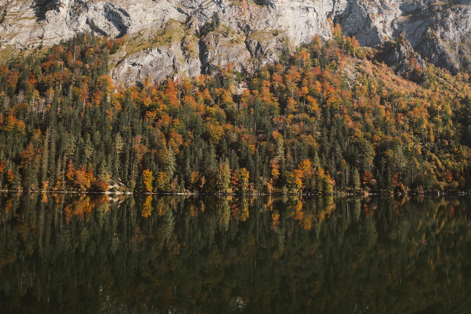 A serene view of an autumn forest reflecting in a peaceful Austrian lake, capturing vibrant fall colors.