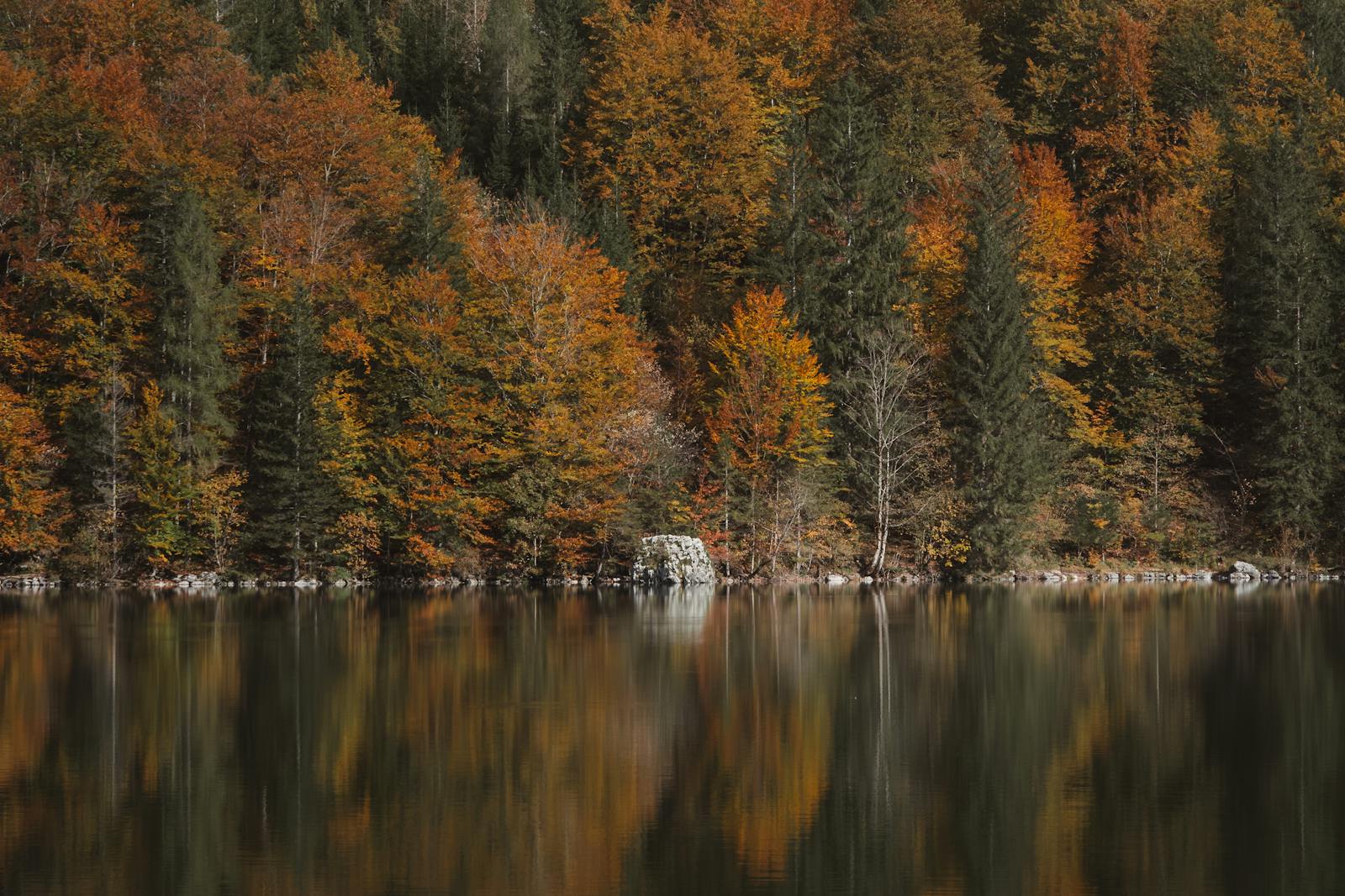 Serene autumn landscape with vibrant foliage reflecting in a tranquil mountain lake in Eisenerz, Austria.