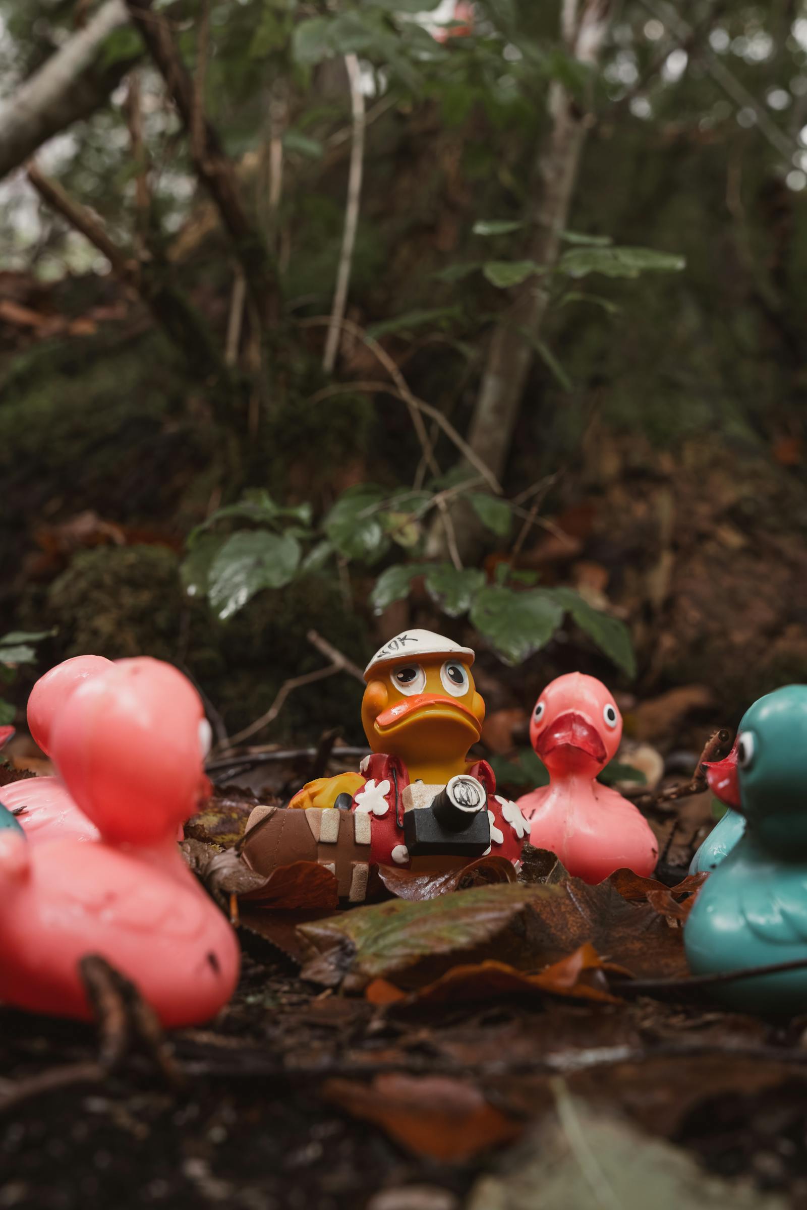 A whimsical scene of a miniature explorer duck surrounded by colorful toy ducks in a forest setting.