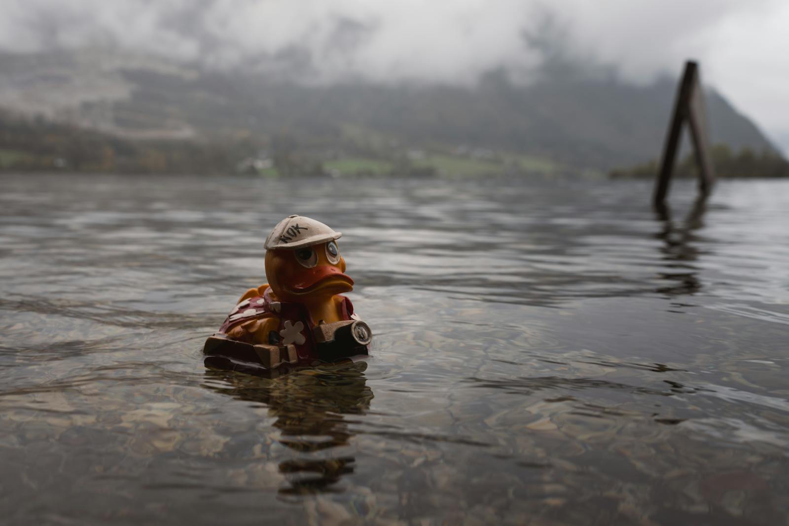 A cute rubber duck floats in a misty lake, evoking adventure and curiosity.