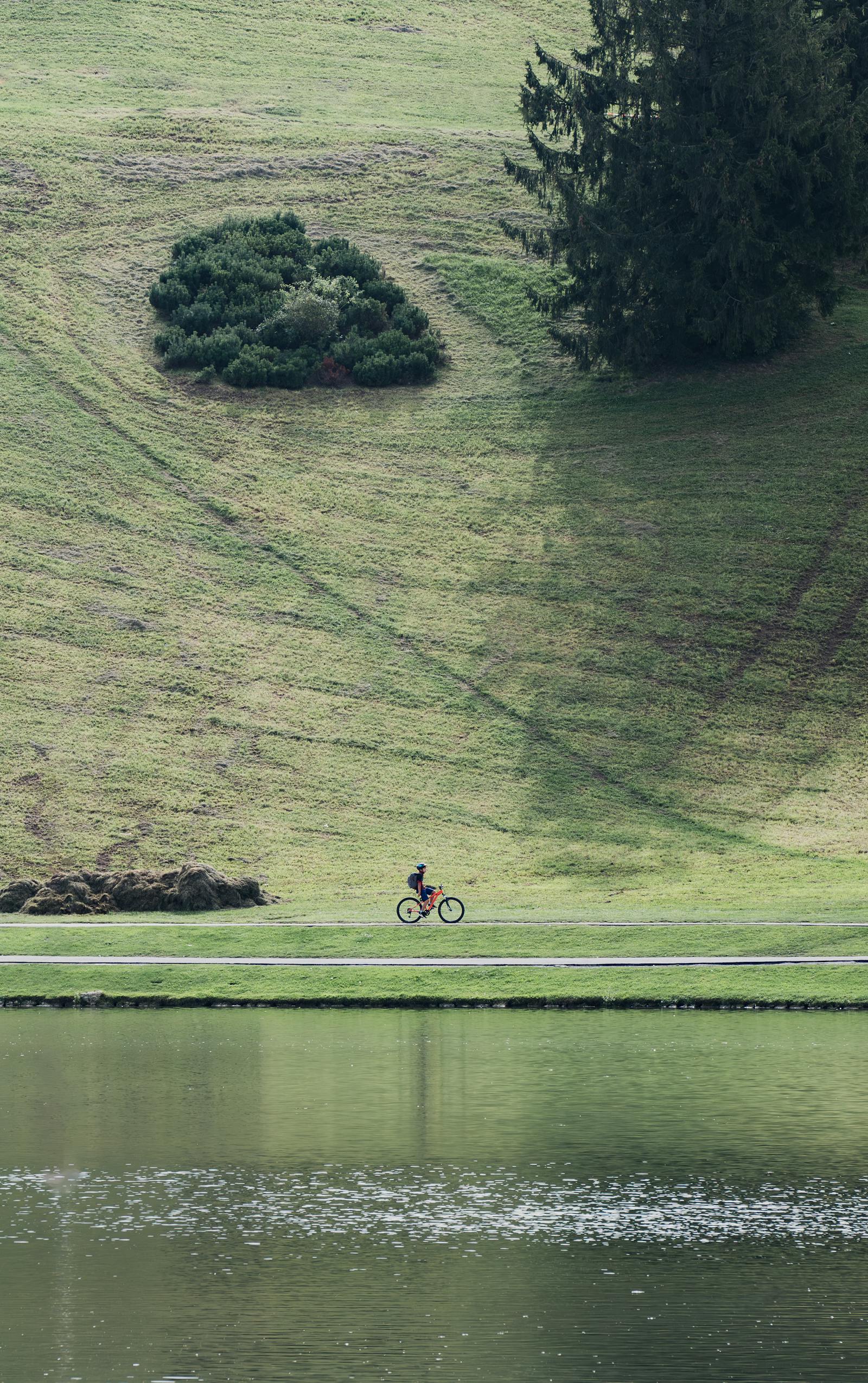 A lone cyclist enjoying a peaceful ride through a lush green landscape by the water.