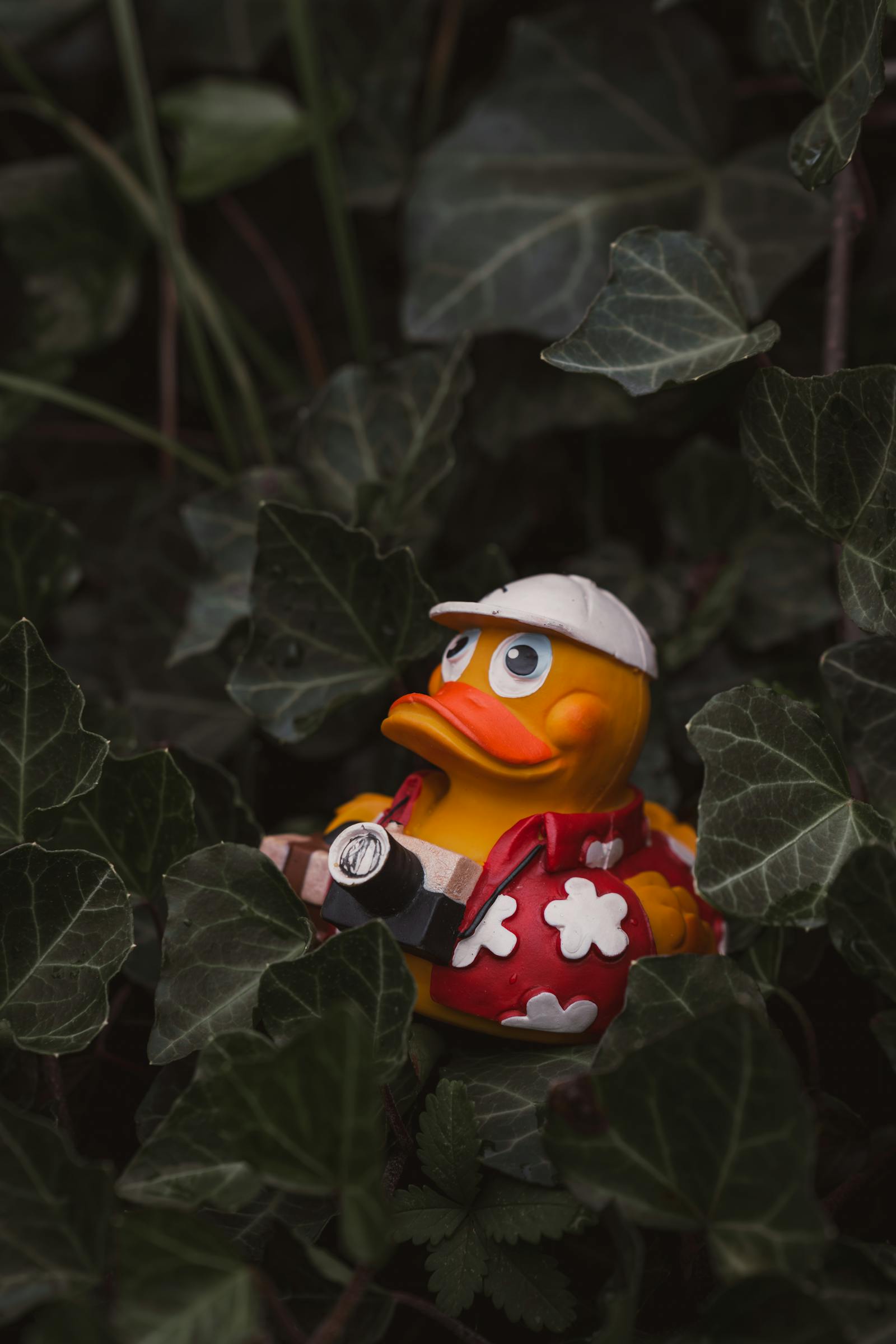 A whimsical toy duck with a hat and camera hidden in dense green foliage, ready for adventure.