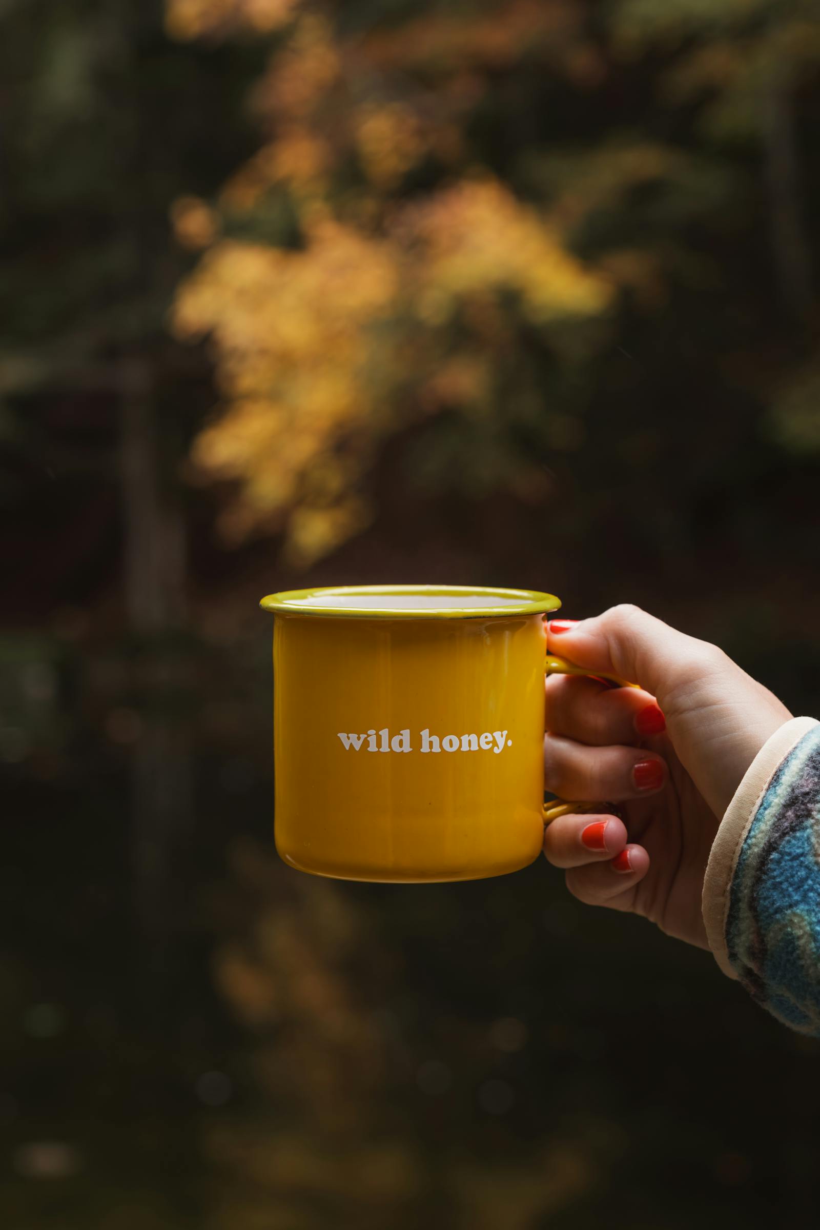 Yellow mug labeled 'wild honey' held in a serene autumn forest setting.