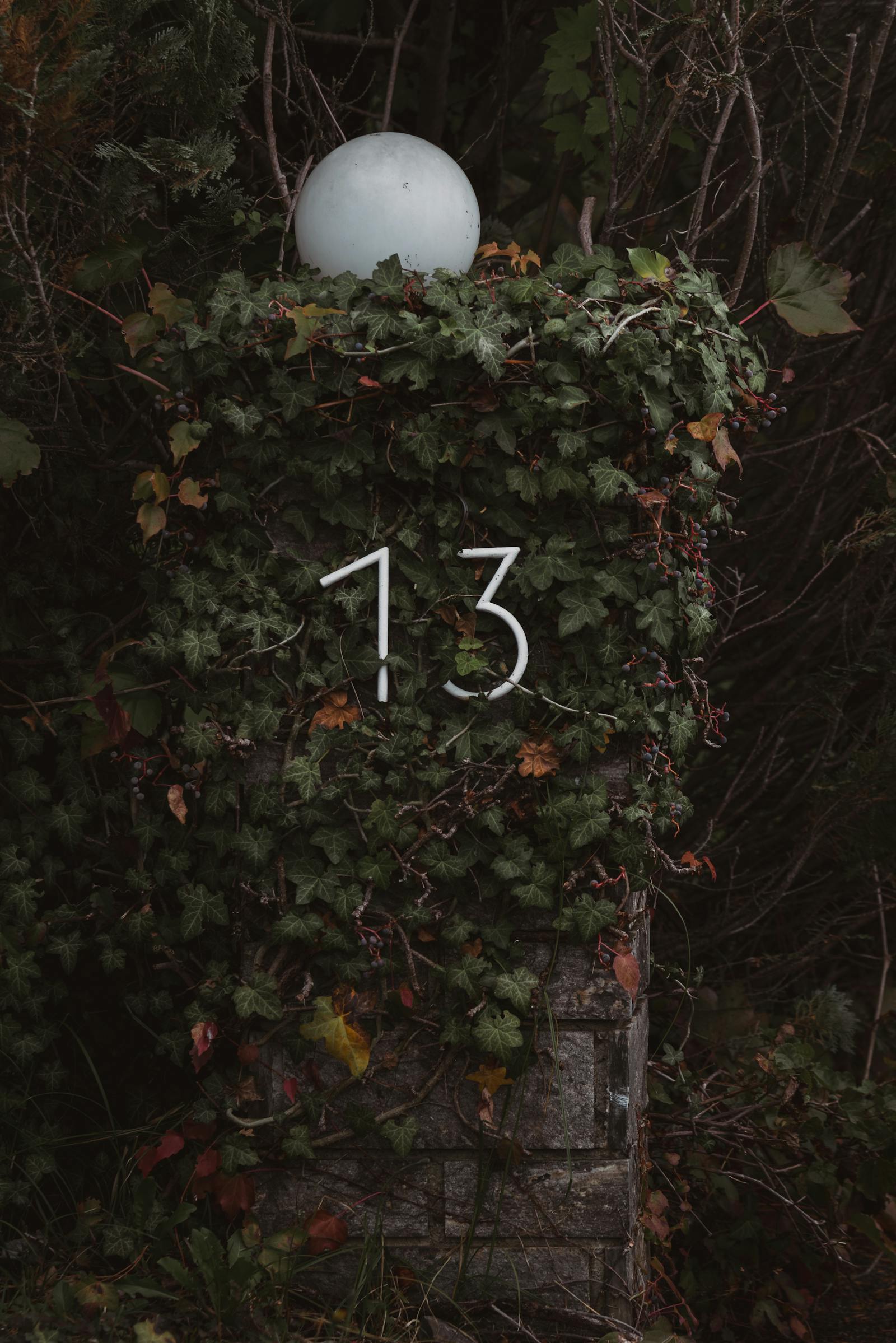 Ivy-covered stone post with mystical vibes and the number 13 in a hidden garden setting.