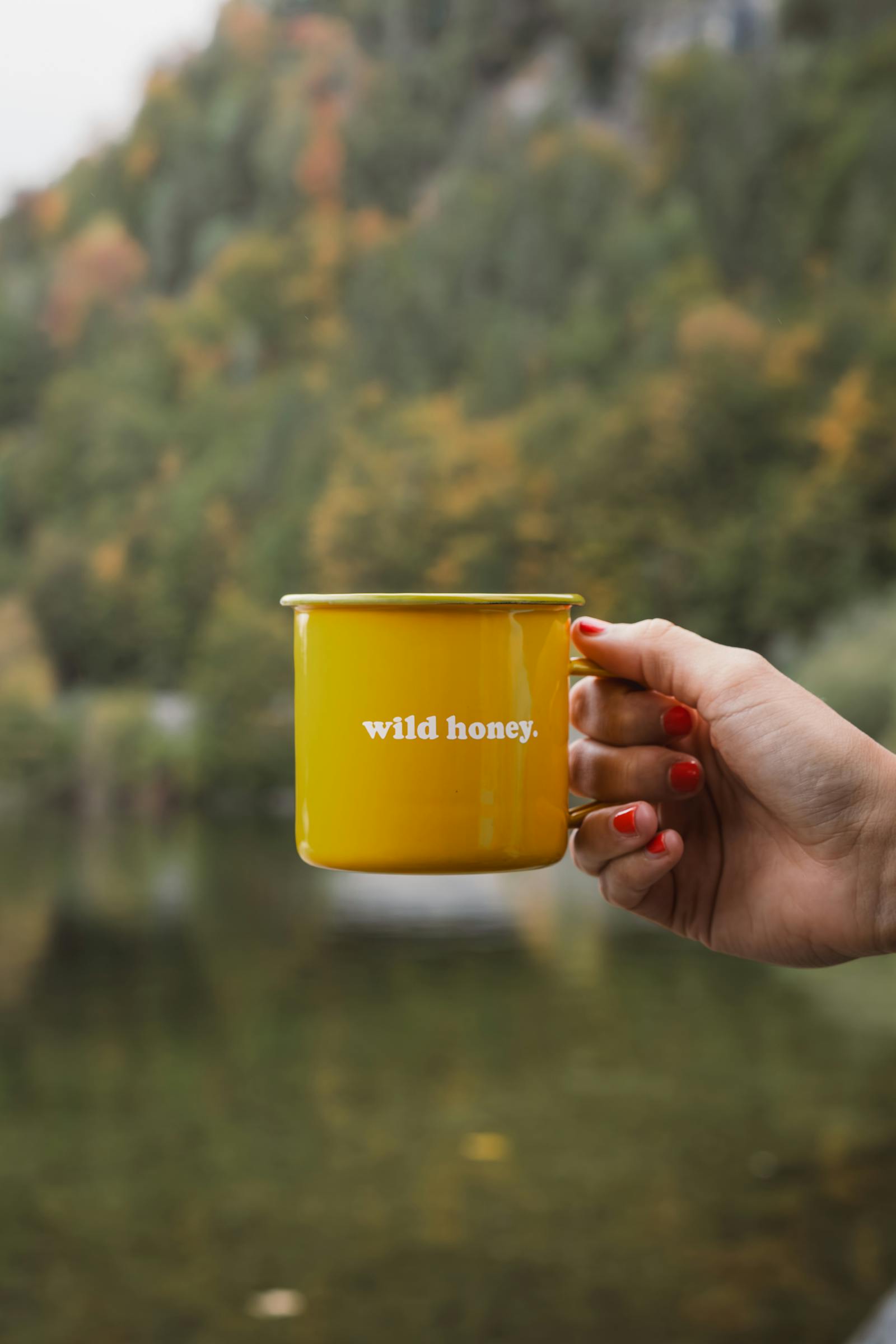 A hand holding a yellow 'wild honey' mug against an autumn backdrop in Austria.