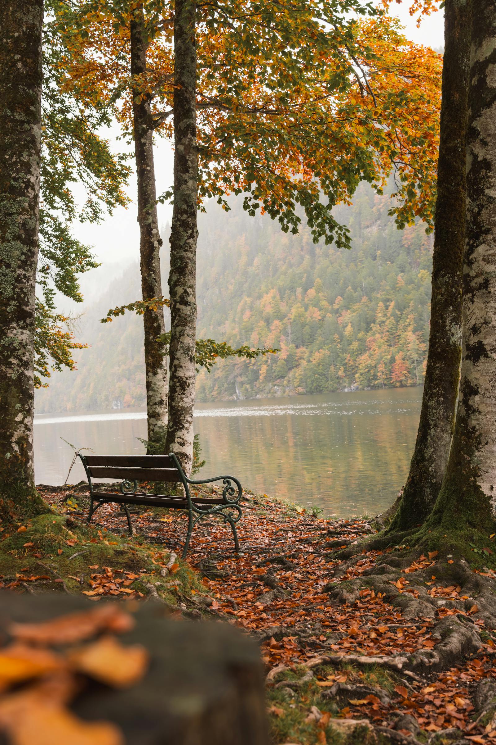 Peaceful lakeside scene with autumn foliage and bench in Styria, Austria.