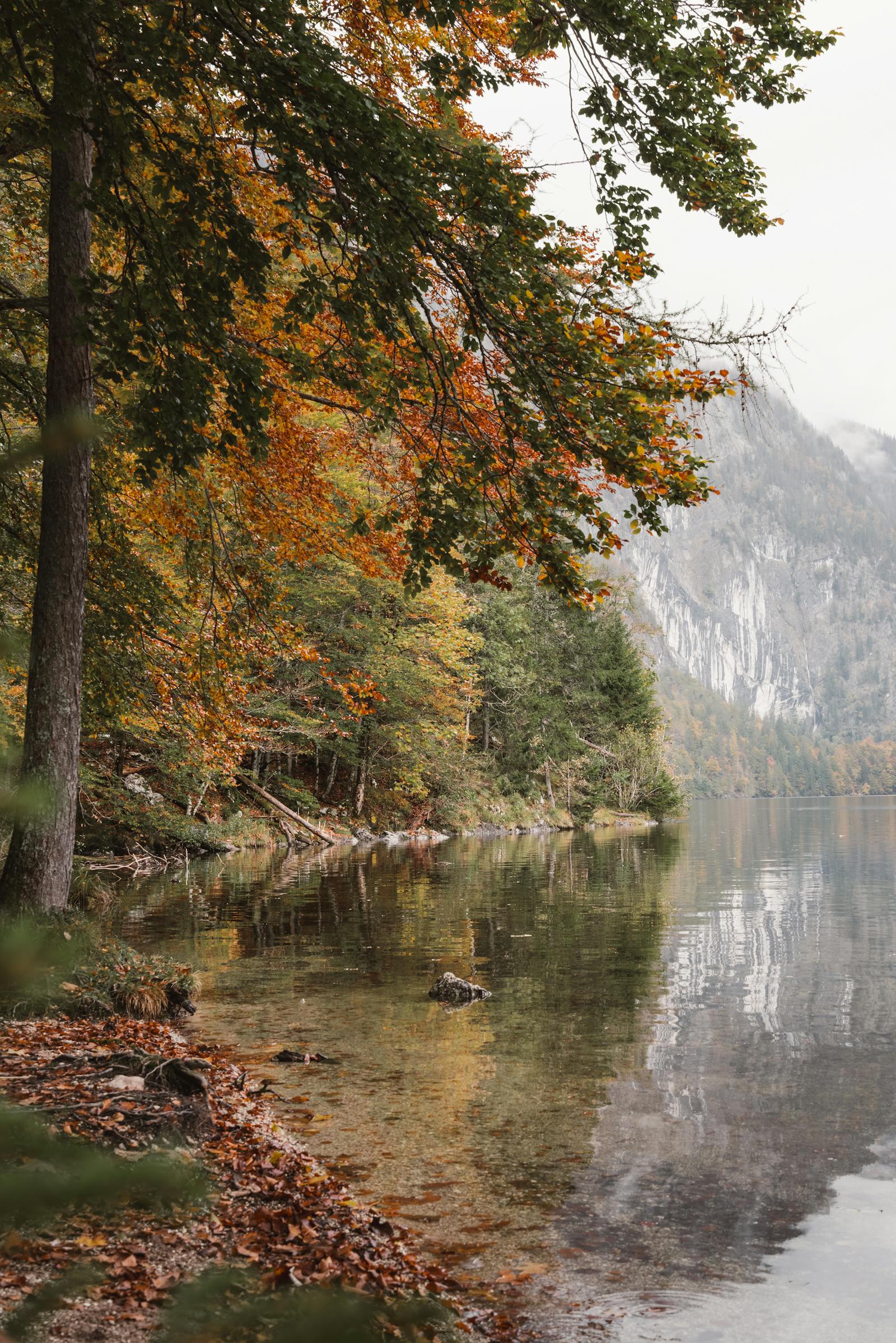 Serene autumn landscape featuring vibrant foliage reflecting in a lake at Bad Aussee, Austria.